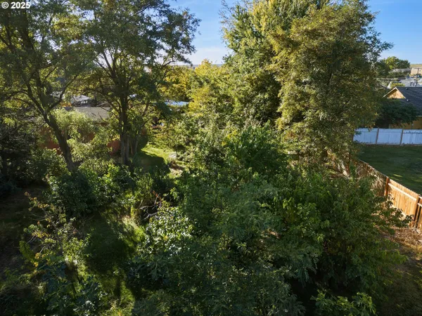 a view of a yard