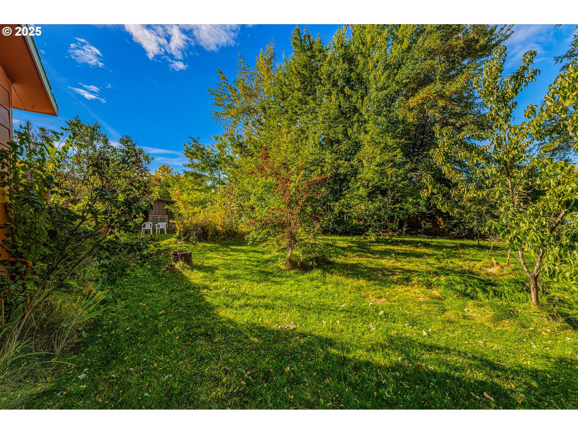 327 Powell Road Milton Freewater, OR 97862 - Photo 6 of 48 a view of a yard