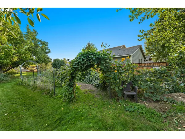 a view of a back yard