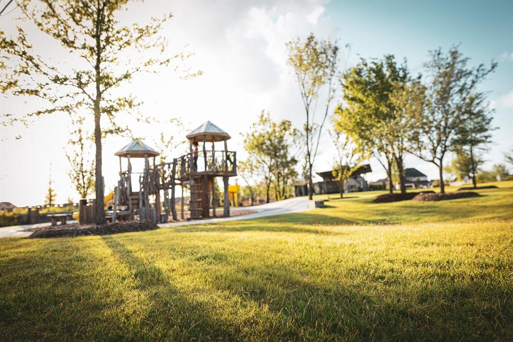 9368 Scarlet Flower Road Frisco, TX 75035 - Photo 34 of 37 Community Photo