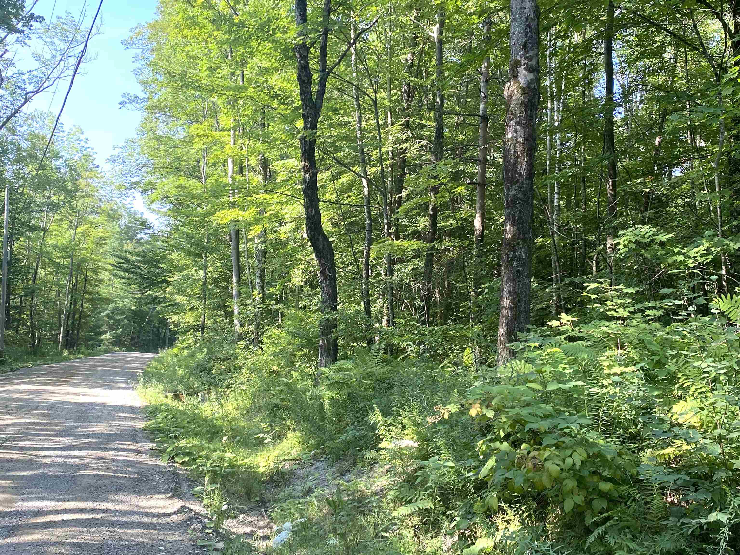 0 North Branch Road Ripton, VT 05766 - Photo 10 of 16 Gallery Image 10