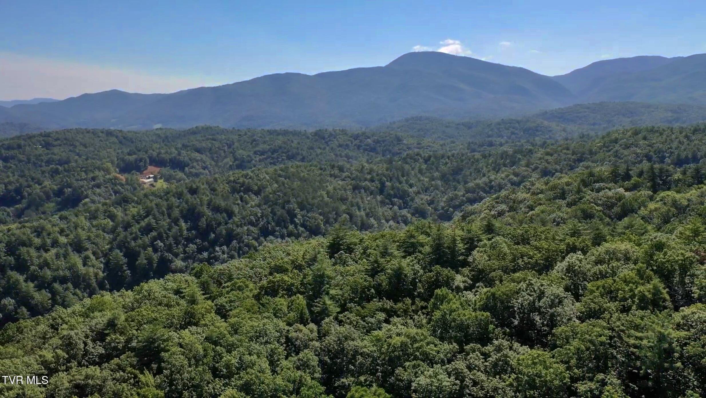 29.38-acre 29.38-acre Bull Mtn Road Del Rio, TN 37727 - Photo 19 of 30 _Pic19 (5)