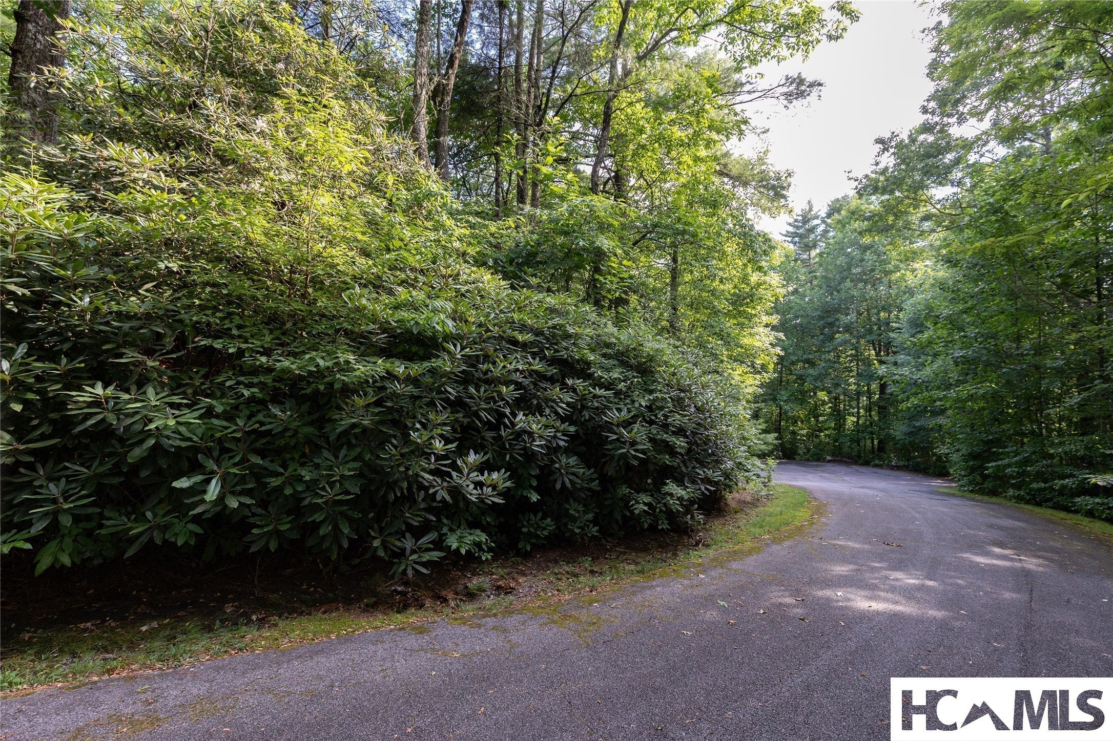 43-fr Running Fox Road Sapphire, NC 28774 - Photo 6 of 48 Gallery Image 6