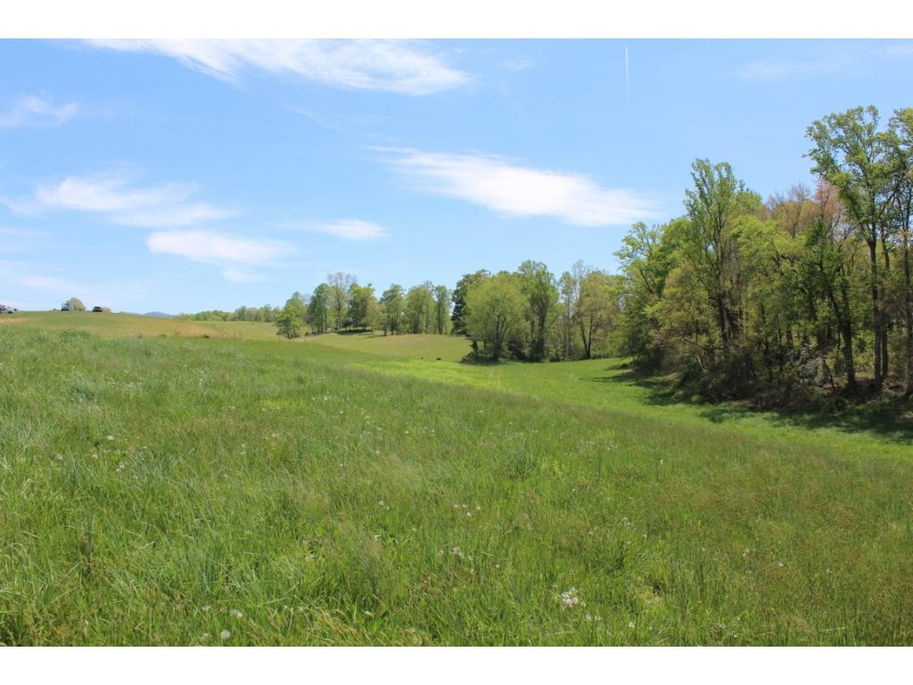 2 Lingo Road, Unit 2 Jonesborough, TN 37659 - Photo 23 of 29 Photo 23