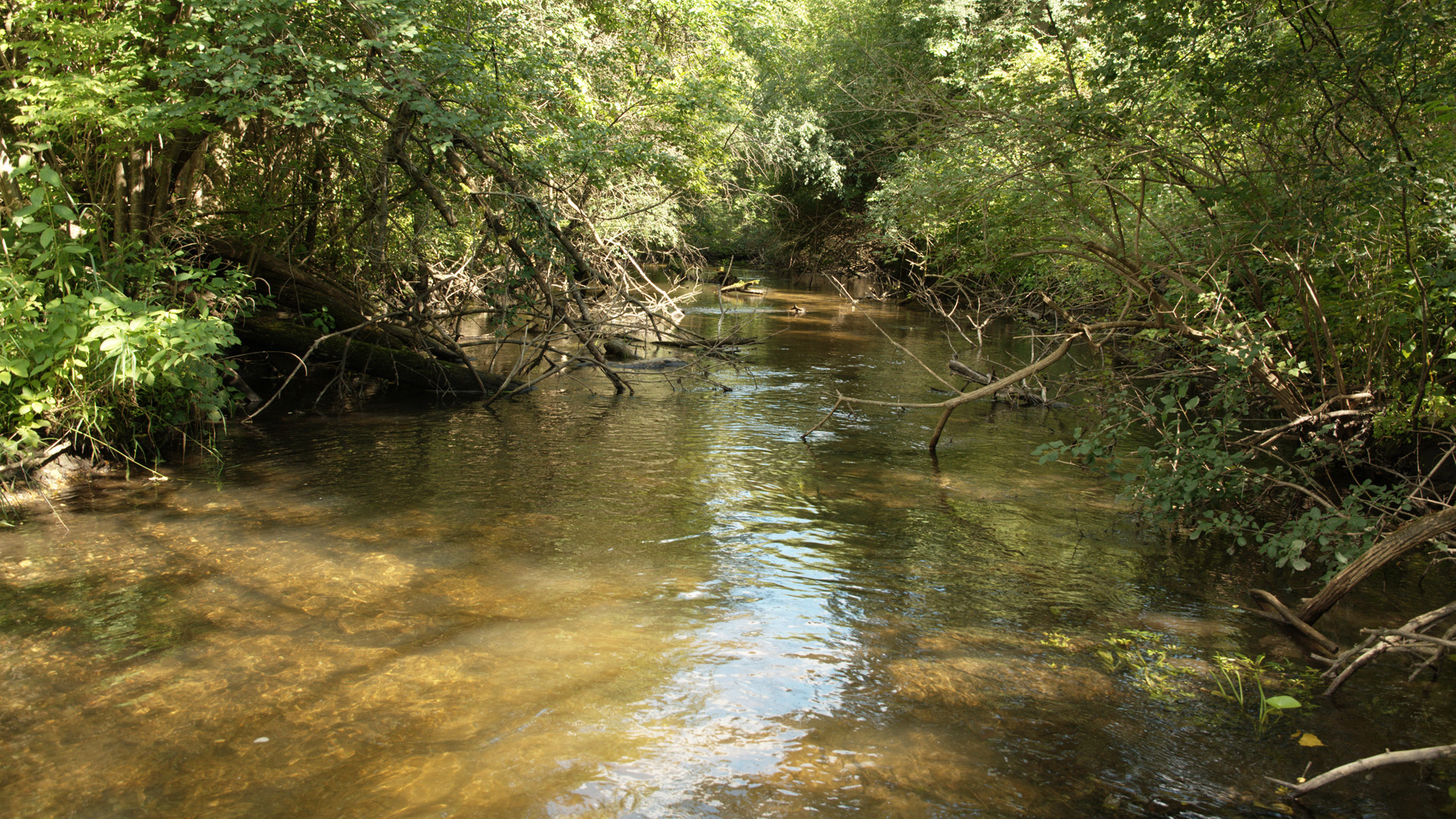 1080 Cherry Valley Road Bull Valley, IL 60050 - Photo 27 of 29