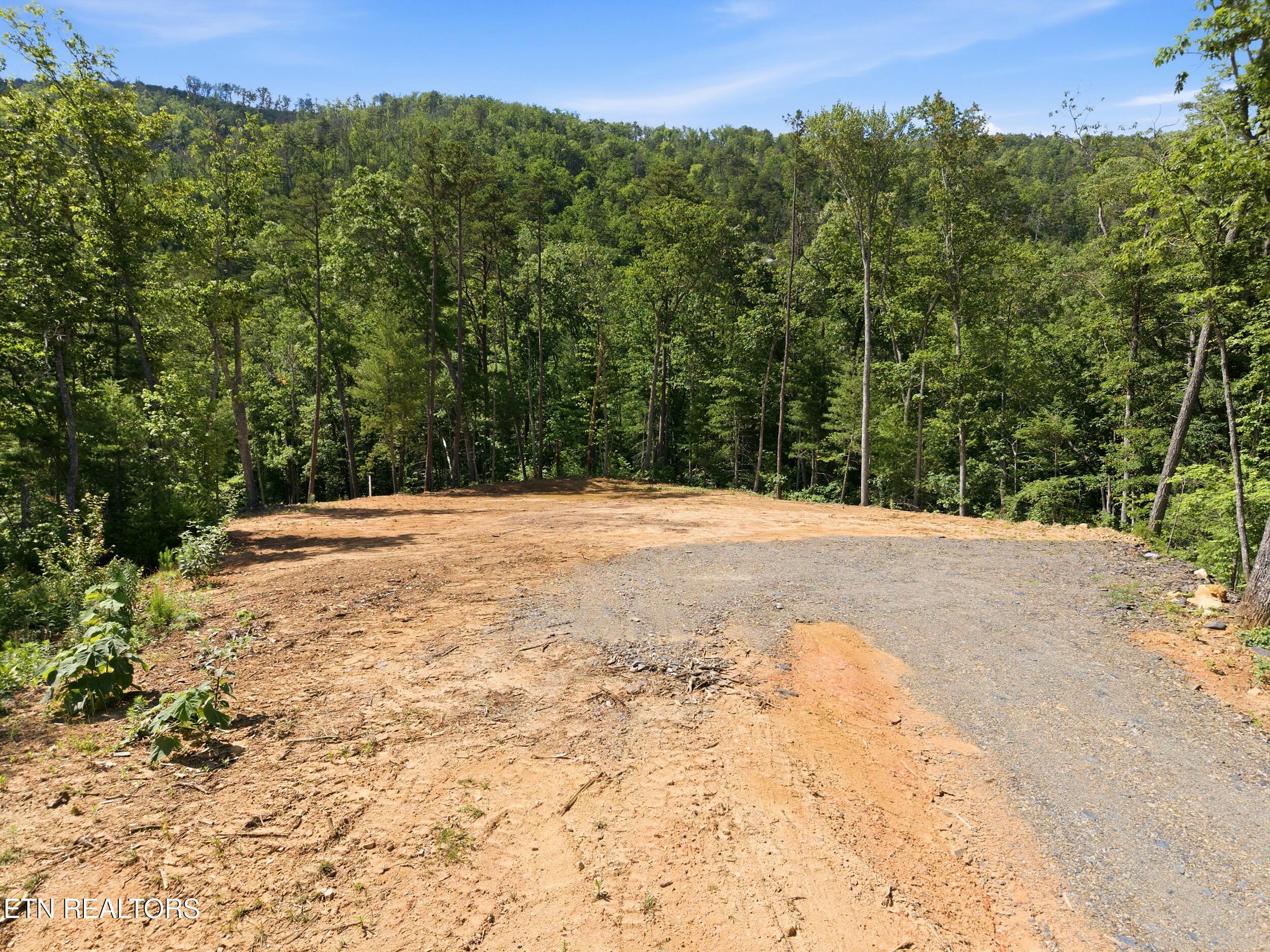909 The Loop Road Walland, TN 37886 - Photo 23 of 32 20_909_the_loop_rd_0017
