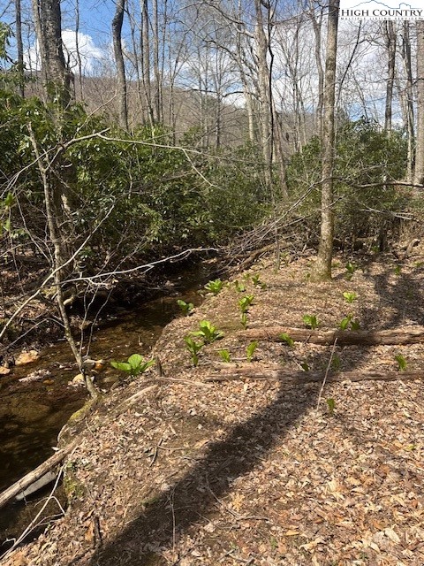 a view of a yard with plants and trees