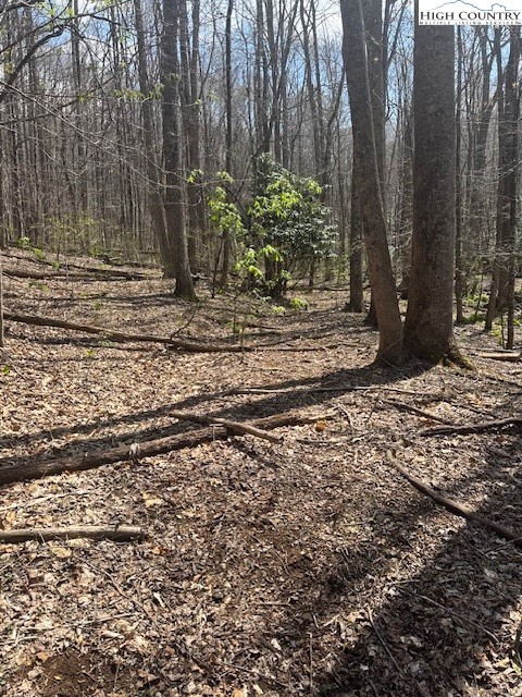 Bald Mountain Road West Jefferson, NC 28694 - Photo 4 of 12 a view of a backyard of the house