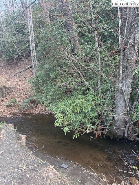 Bald Mountain Road West Jefferson, NC 28694 - Photo 7 of 12 a view of a forest filled with trees