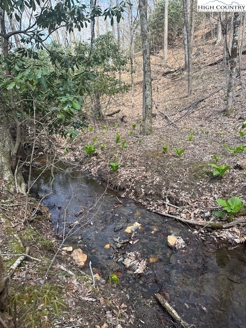 Bald Mountain Road West Jefferson, NC 28694 - Photo 10 of 12 a view of a yard with plants and trees