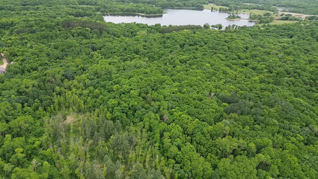 Tbd 380th Street Dent, MN 56528 - Photo 9 of 33