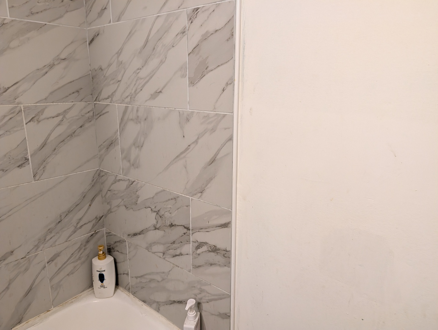 10754 Lyman Avenue Chicago Ridge, IL 60415 - Photo 10 of 17 a bathroom with a shower