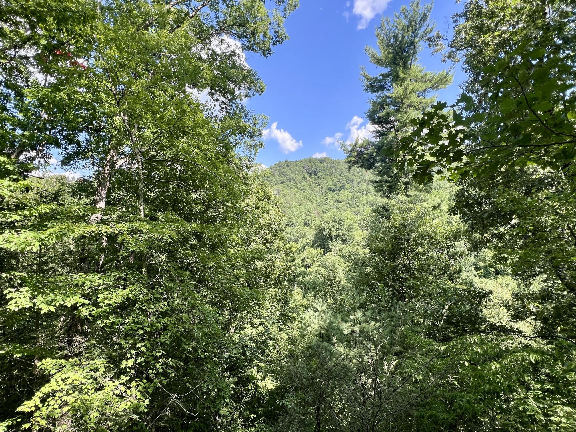 6 Sunset Road Sevierville, TN 37862 - Photo 2 of 9