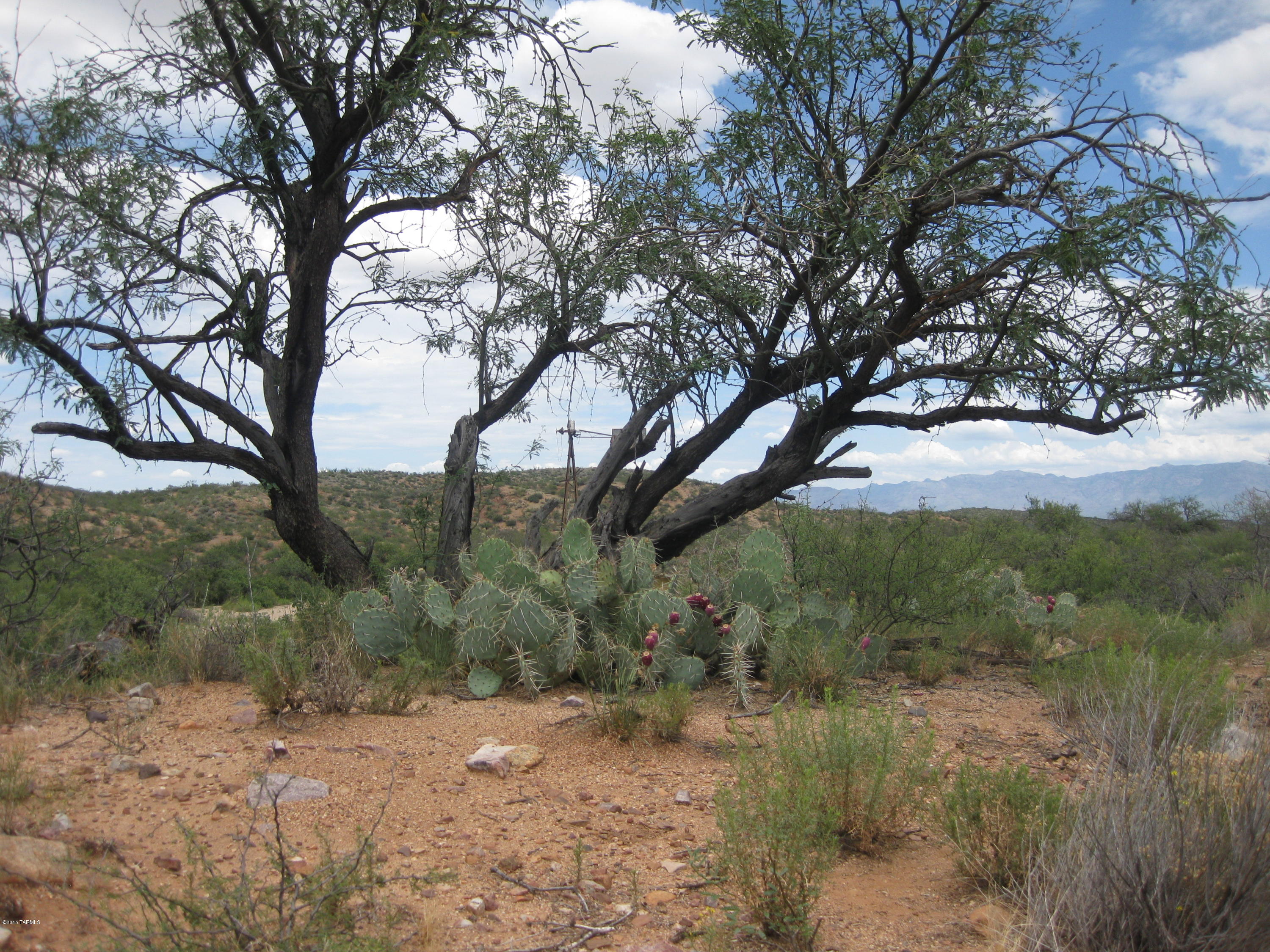 Hugget Road Oracle, AZ 85623 - Photo 2 of 9