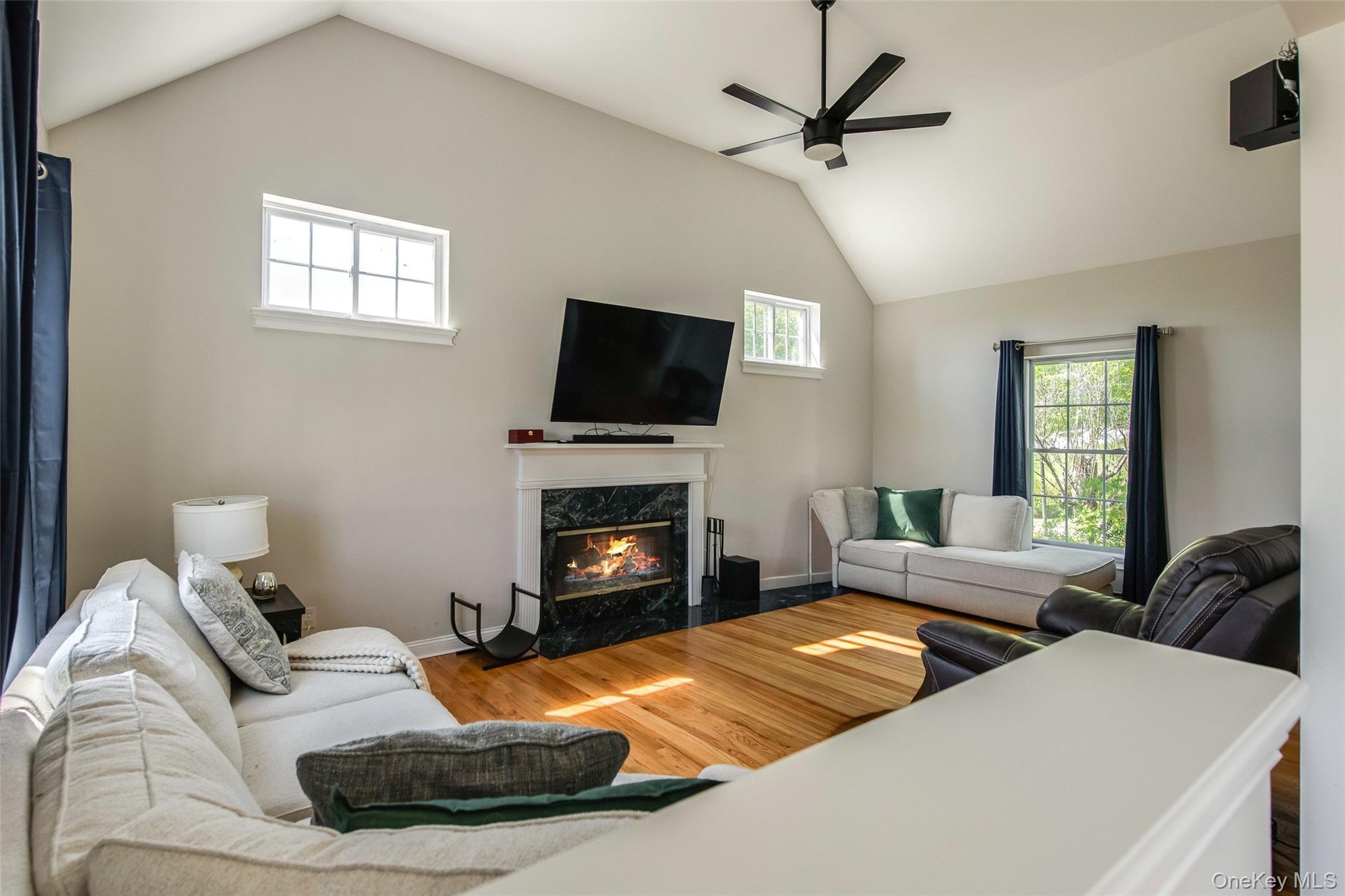 66 Gretna Road Pleasant Valley, NY 12569 - Photo 11 of 37 a living room with furniture a flat screen tv and a fireplace