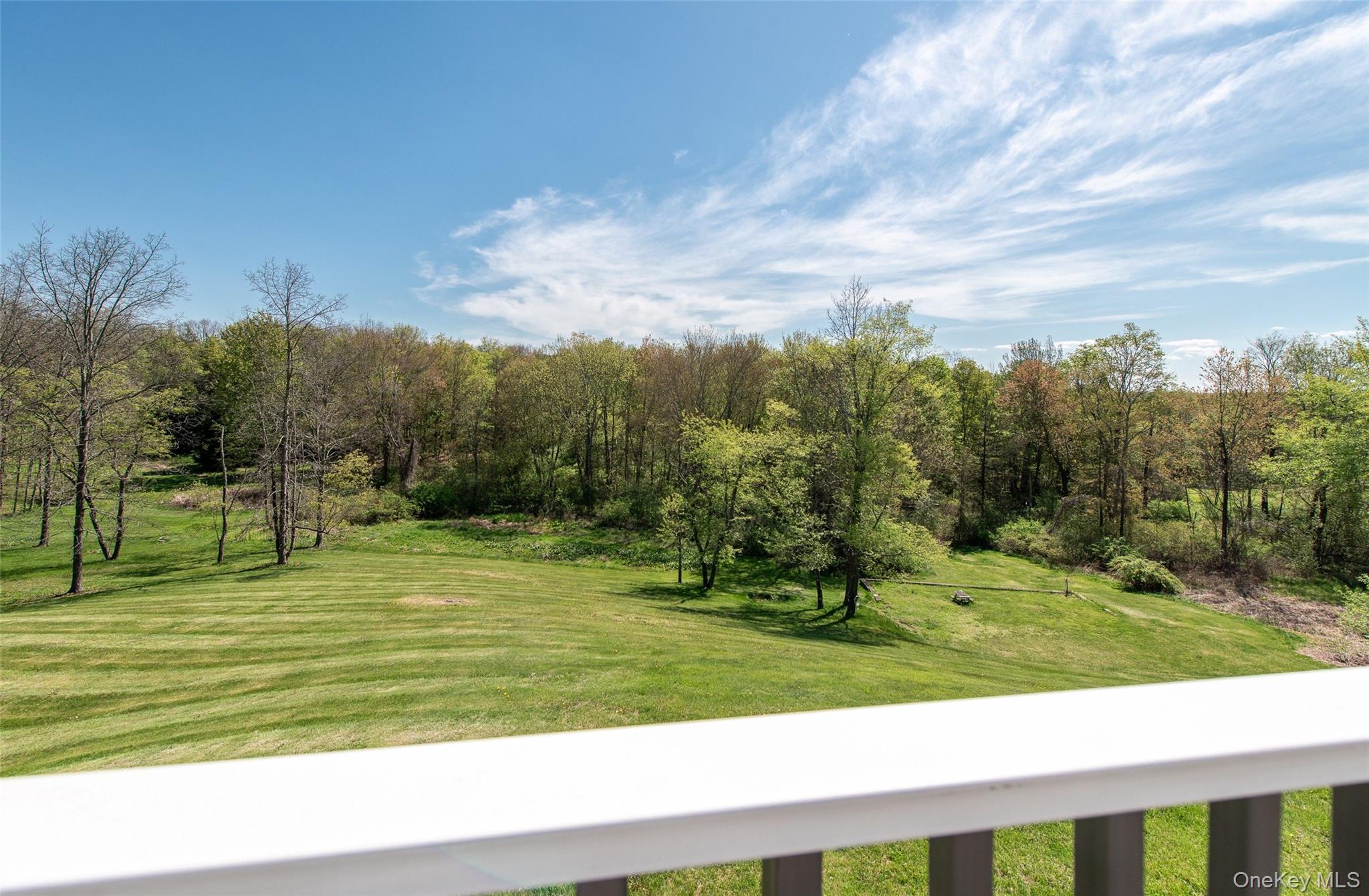 66 Gretna Road Pleasant Valley, NY 12569 - Photo 28 of 37 a view of a park with large trees