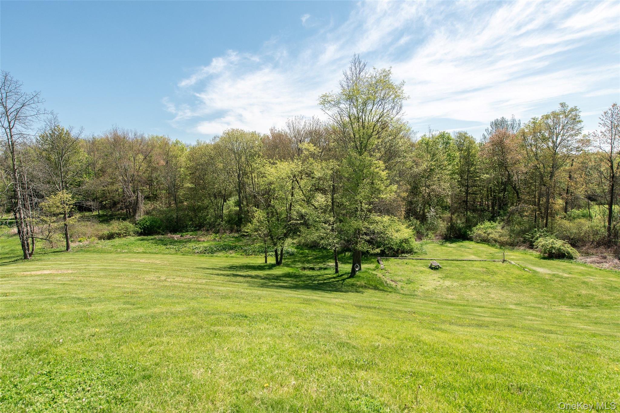 66 Gretna Road Pleasant Valley, NY 12569 - Photo 33 of 37 a view of a golf course with a park