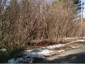 0 Fairground Heights Road Springfield, VT 05156 - Photo 2 of 3