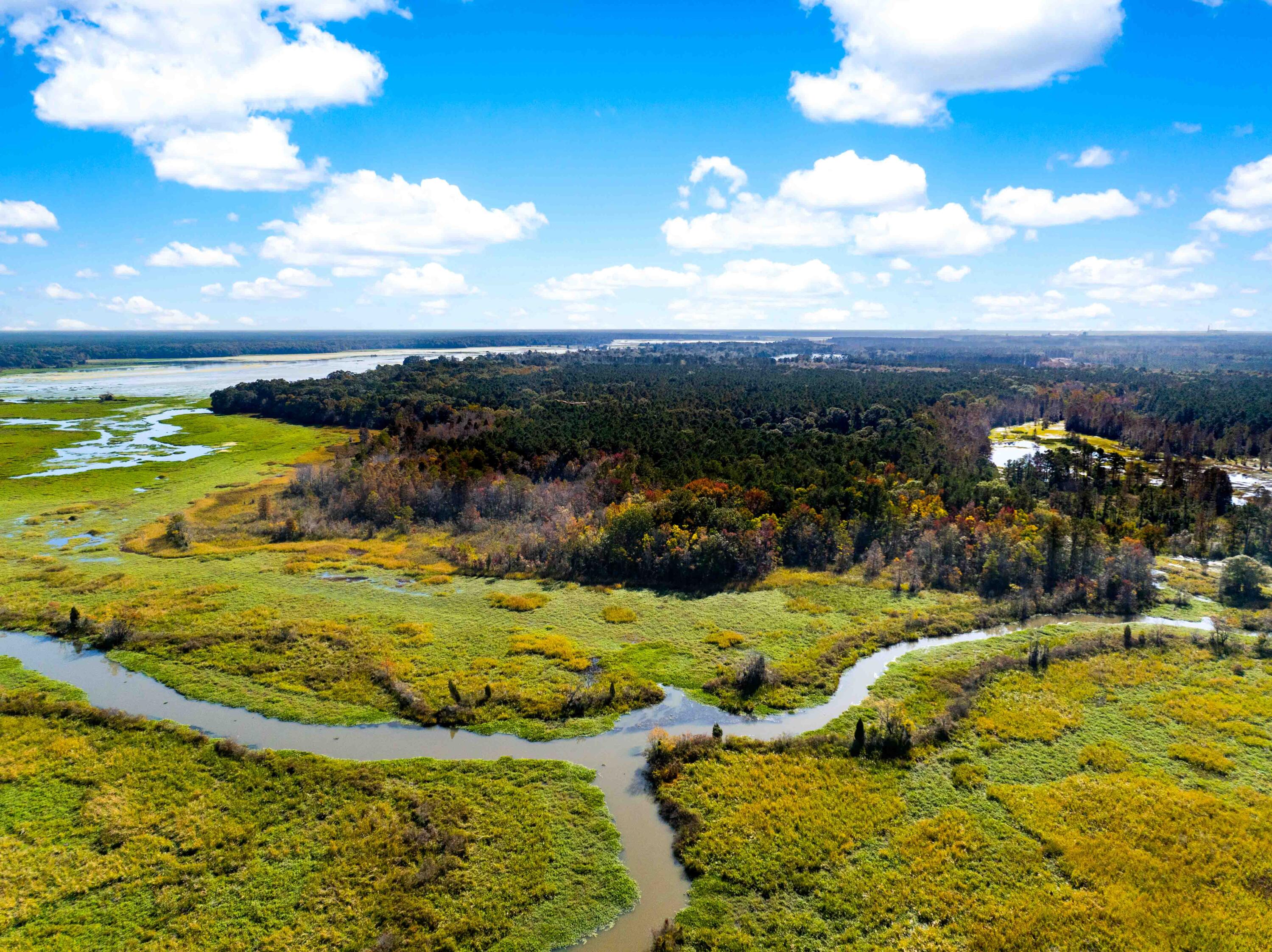 0 Point Comfort Moncks Corner Moncks Corner, SC 29461 - Photo 11 of 49 Point Comfort 2024 Drone_Low Res-11