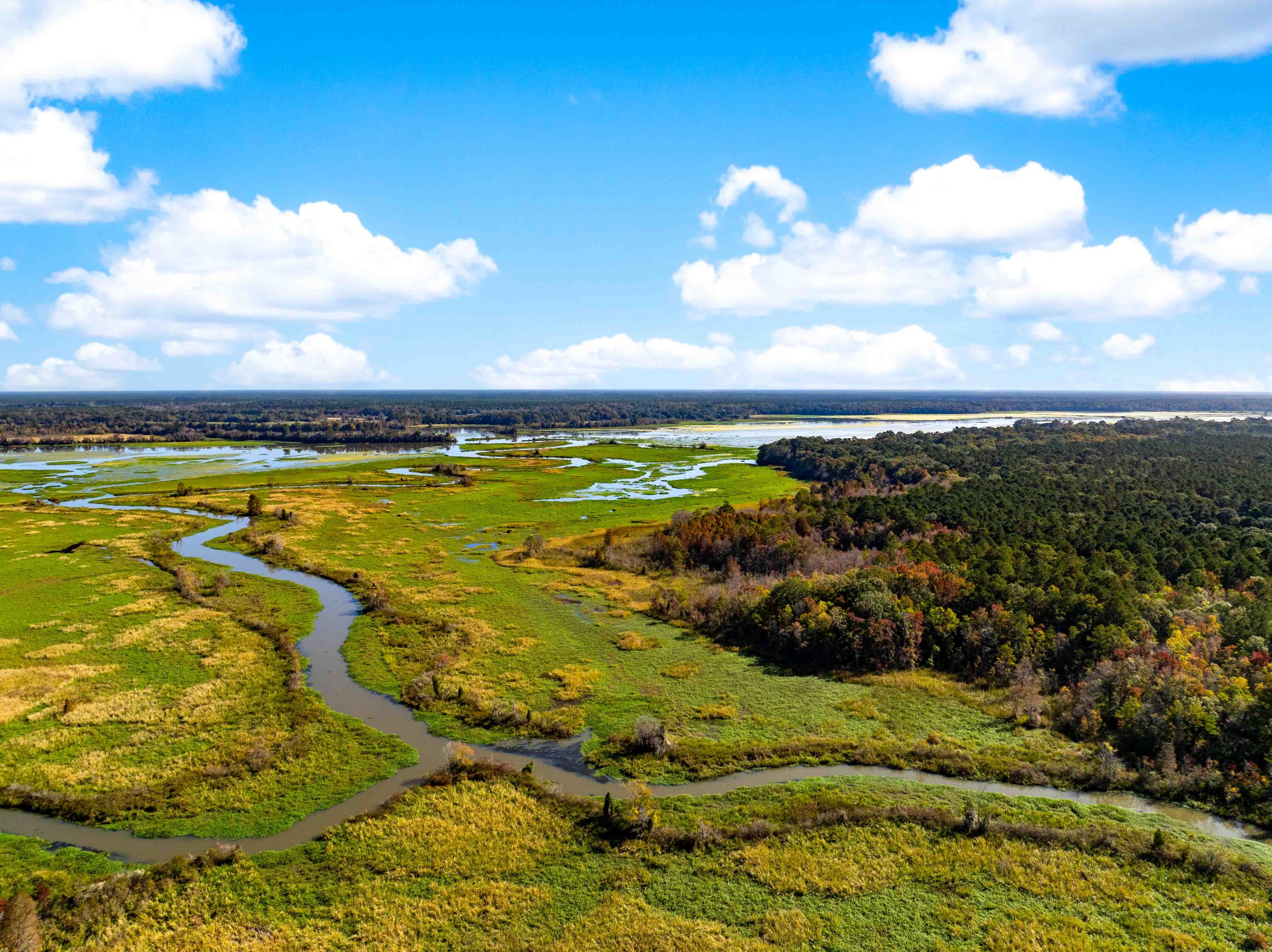 0 Point Comfort Moncks Corner Moncks Corner, SC 29461 - Photo 12 of 49 Point Comfort 2024 Drone_Low Res-12