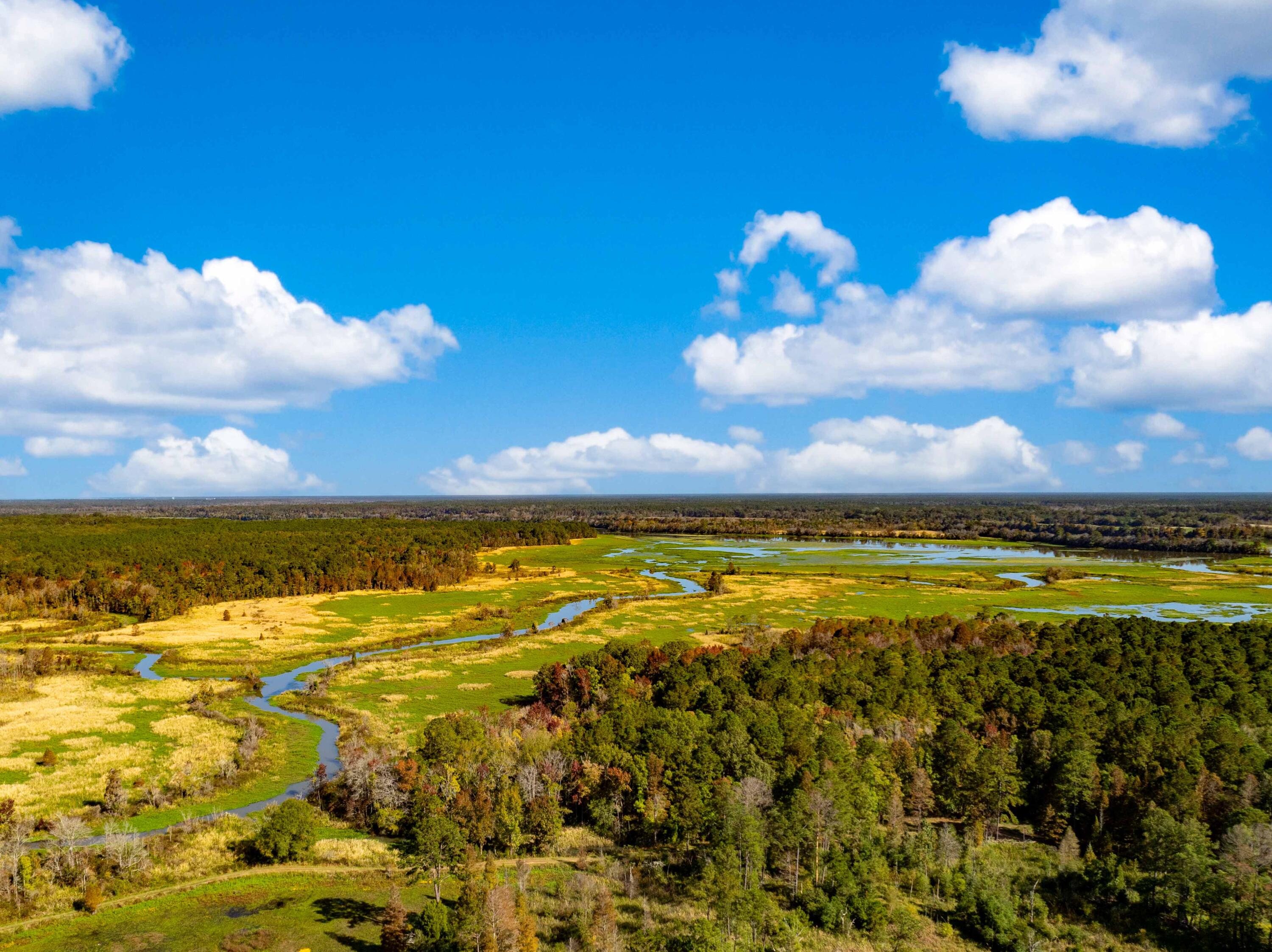 0 Point Comfort Moncks Corner Moncks Corner, SC 29461 - Photo 13 of 49 Point Comfort 2024 Drone_Low Res-16