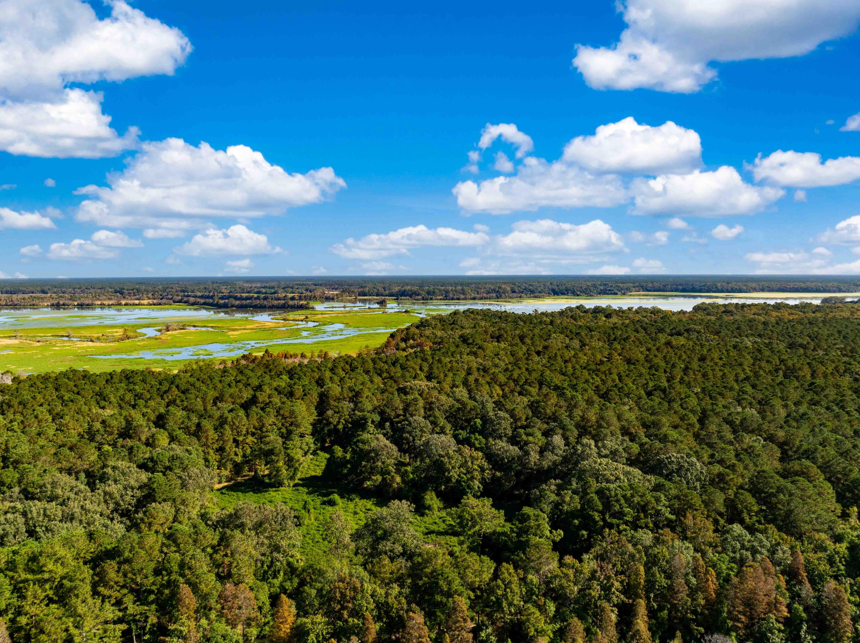 0 Point Comfort Moncks Corner Moncks Corner, SC 29461 - Photo 15 of 49 Point Comfort 2024 Drone_Low Res-17