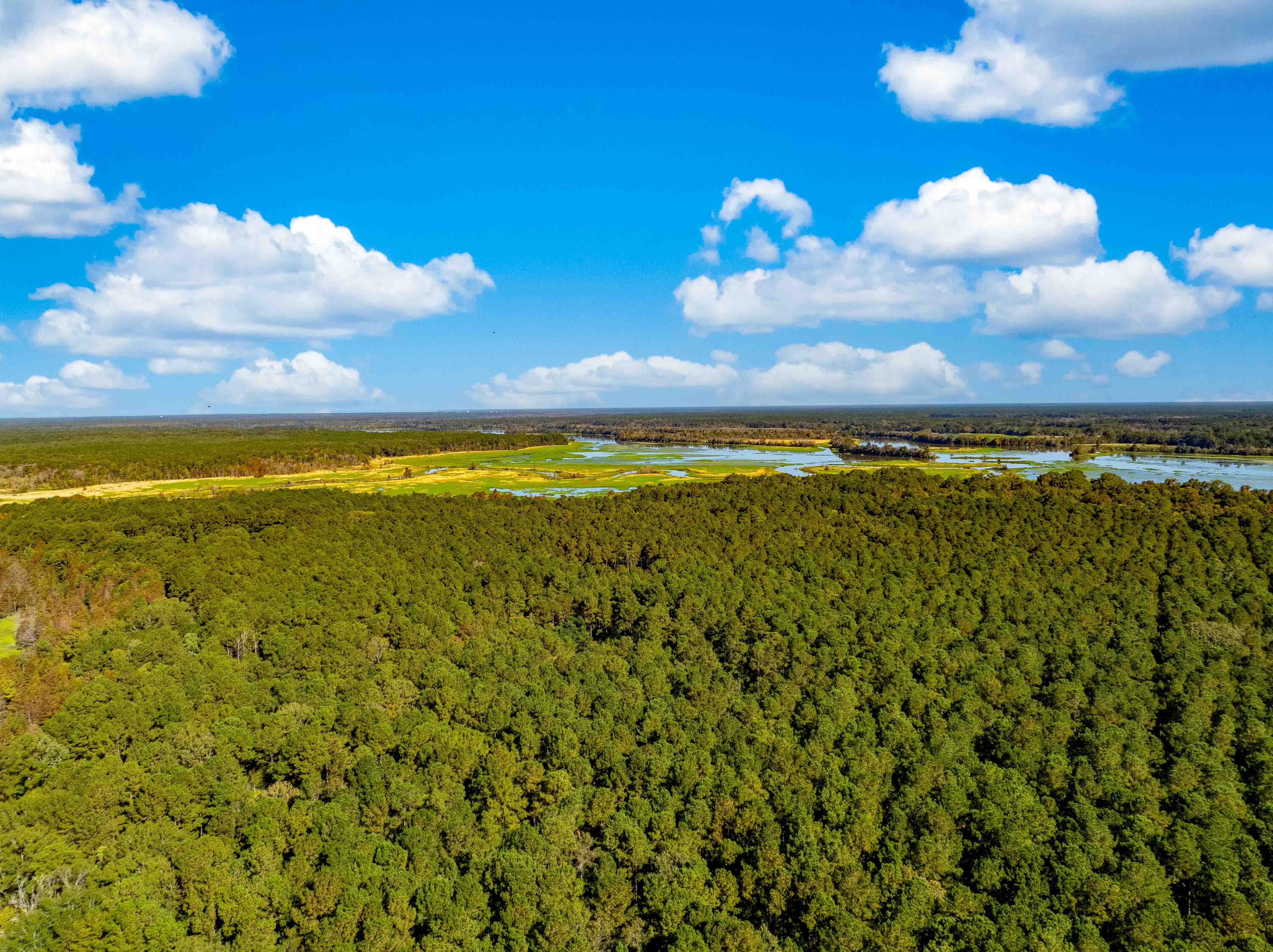 0 Point Comfort Moncks Corner Moncks Corner, SC 29461 - Photo 16 of 49 Point Comfort 2024 Drone_Low Res-18