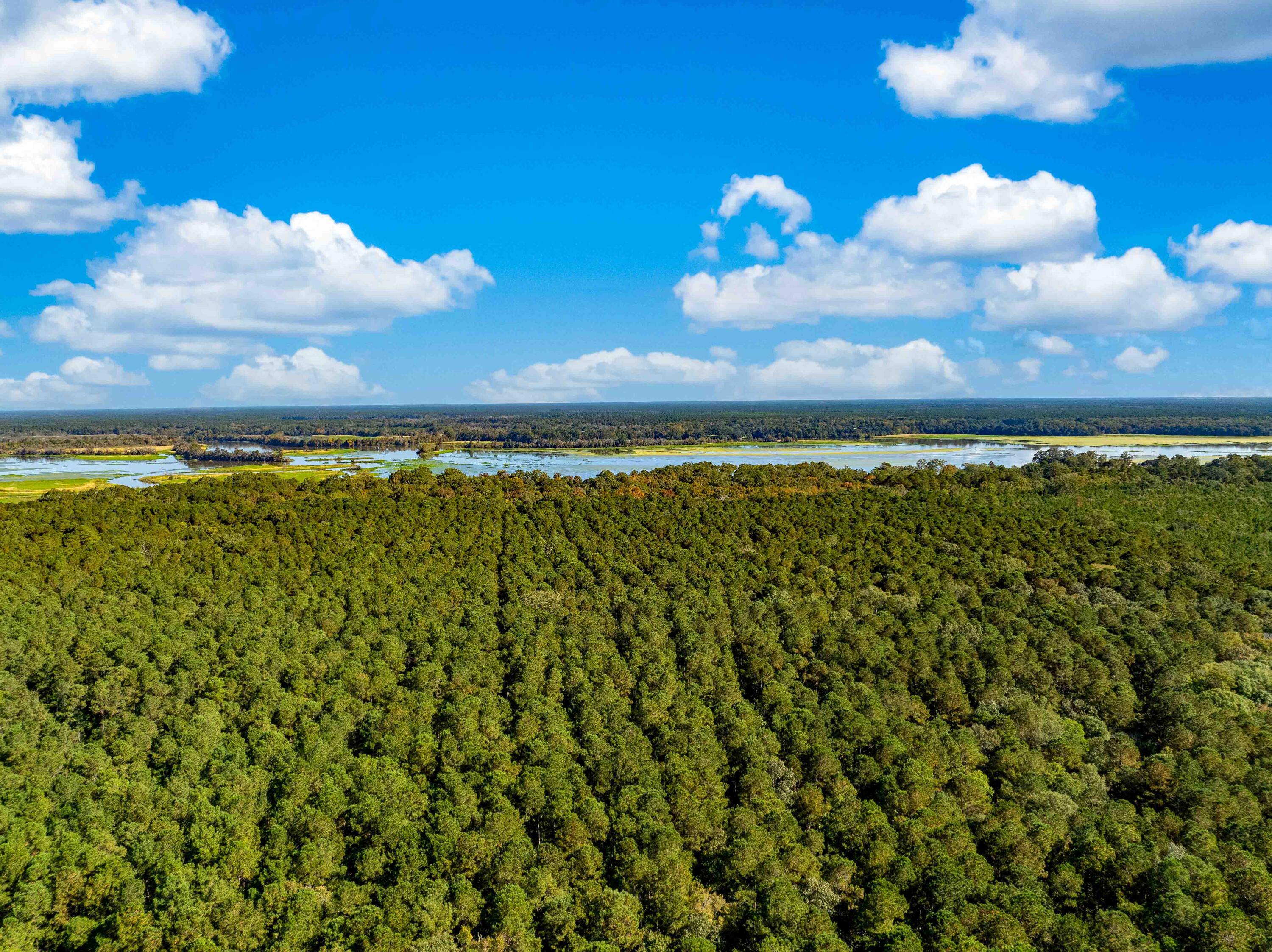 0 Point Comfort Moncks Corner Moncks Corner, SC 29461 - Photo 17 of 49 Point Comfort 2024 Drone_Low Res-19