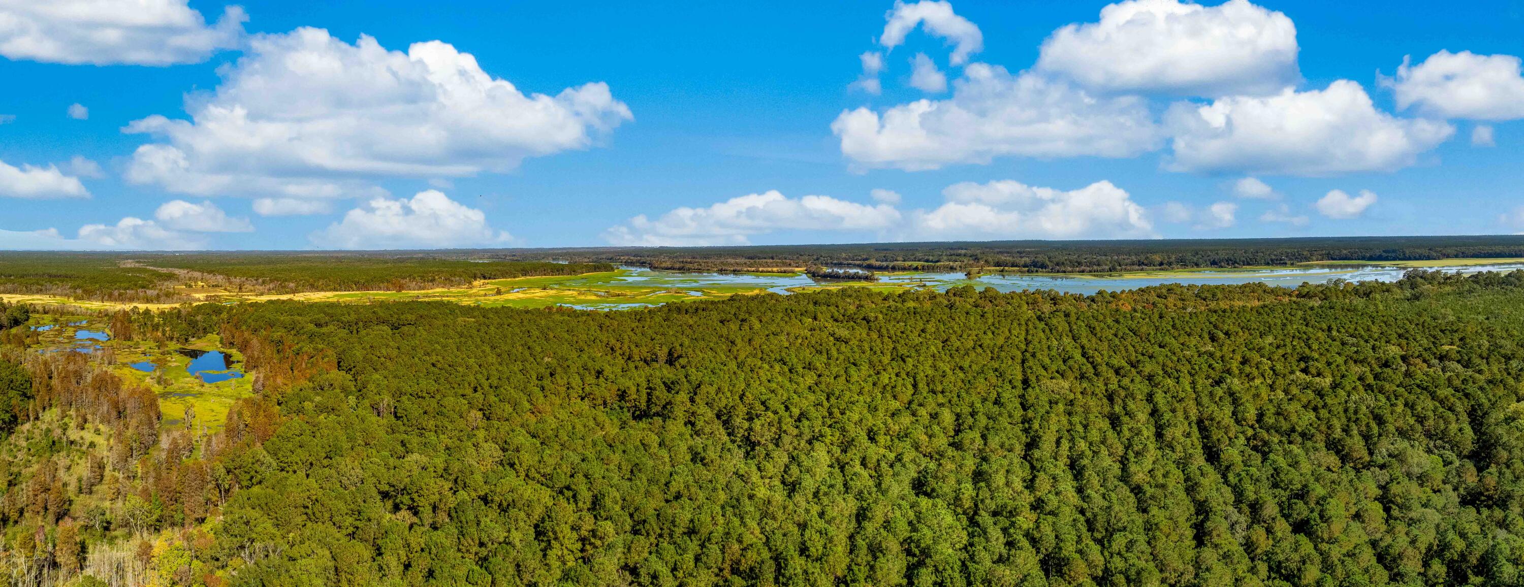 0 Point Comfort Moncks Corner Moncks Corner, SC 29461 - Photo 19 of 49 Point Comfort 2024 Drone_Low Res-20