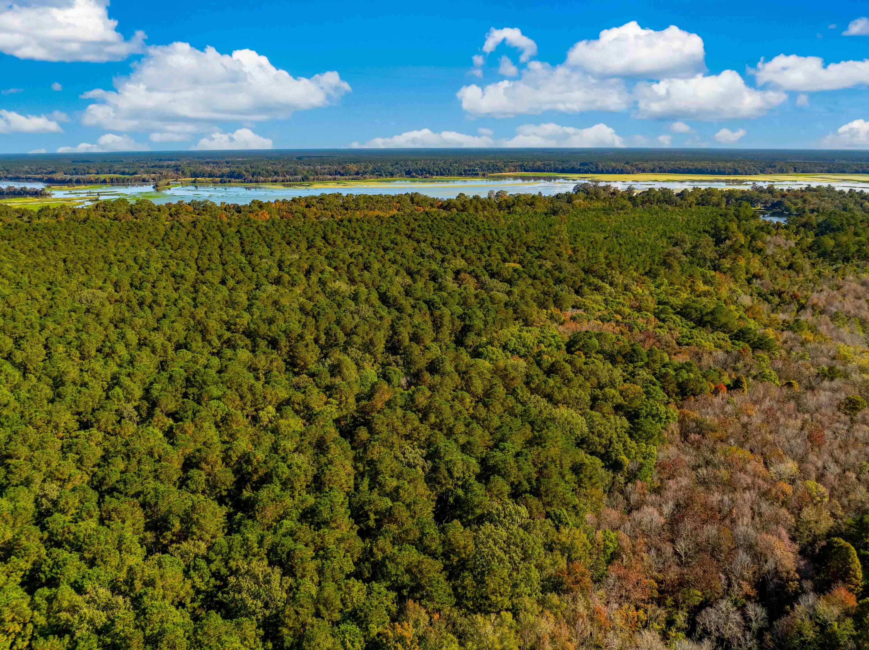 0 Point Comfort Moncks Corner Moncks Corner, SC 29461 - Photo 20 of 49 Point Comfort 2024 Drone_Low Res-21