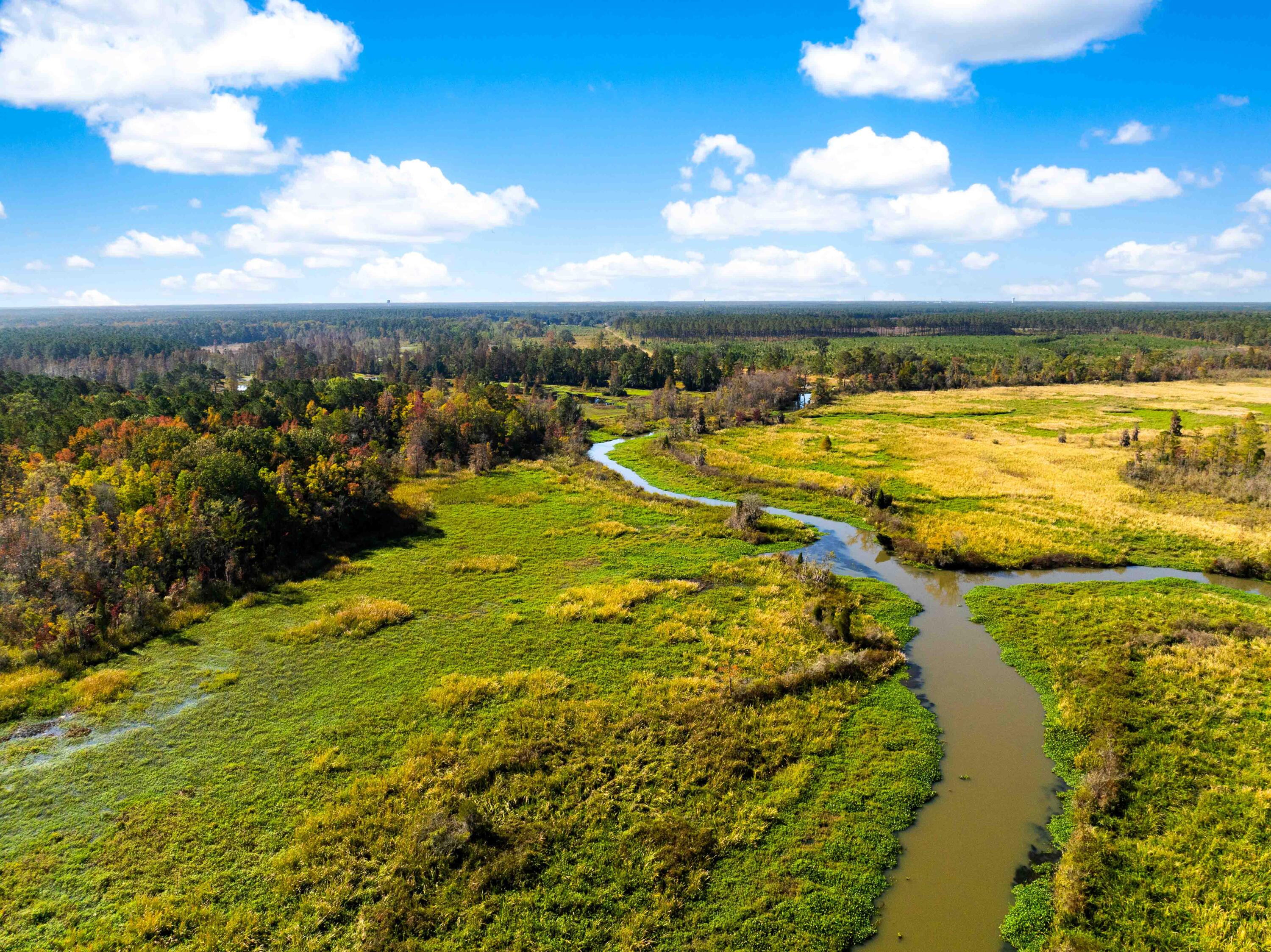 0 Point Comfort Moncks Corner Moncks Corner, SC 29461 - Photo 2 of 49 Point Comfort 2024 Drone_Low Res-9