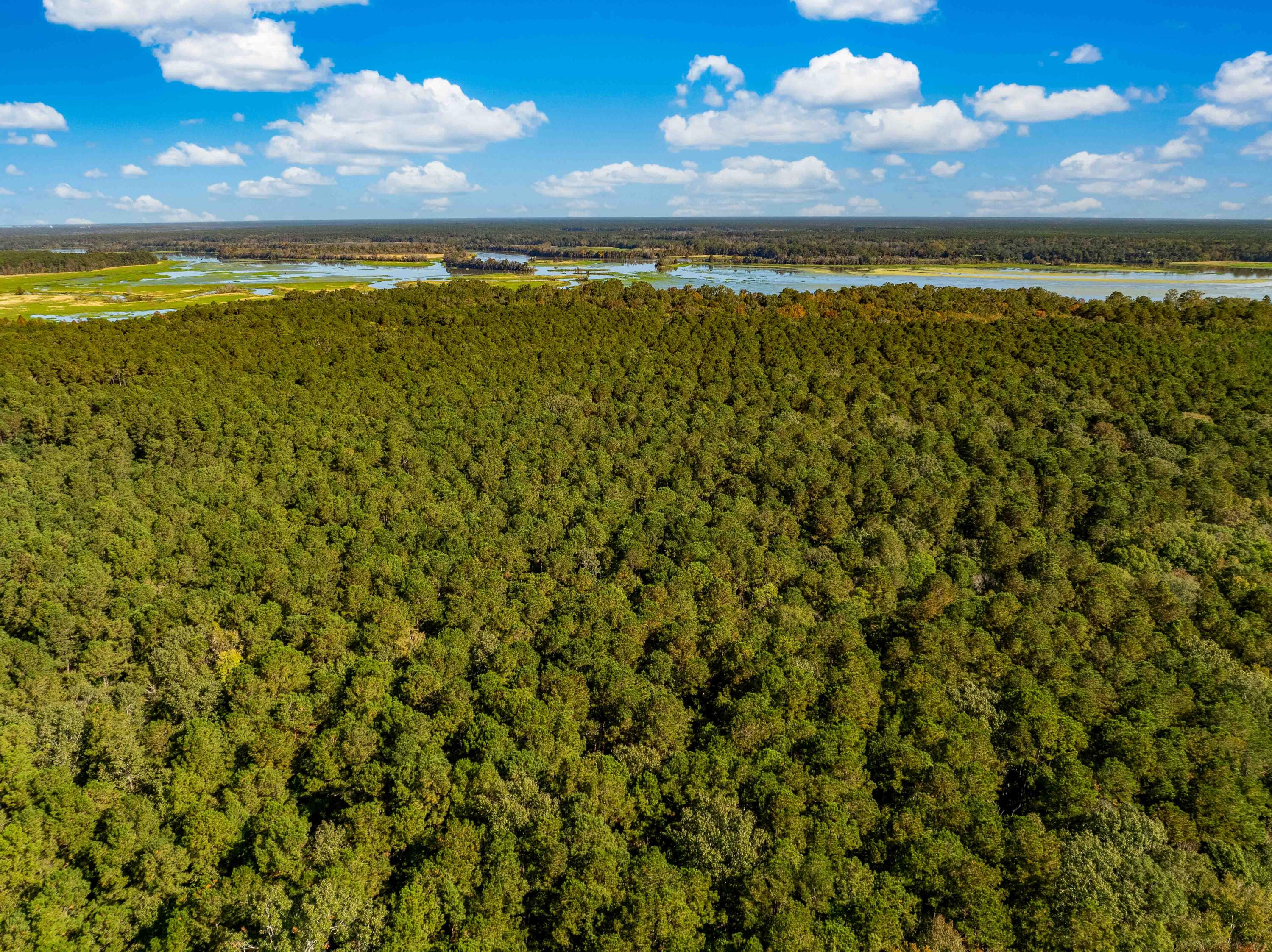 0 Point Comfort Moncks Corner Moncks Corner, SC 29461 - Photo 21 of 49 Point Comfort 2024 Drone_Low Res-22