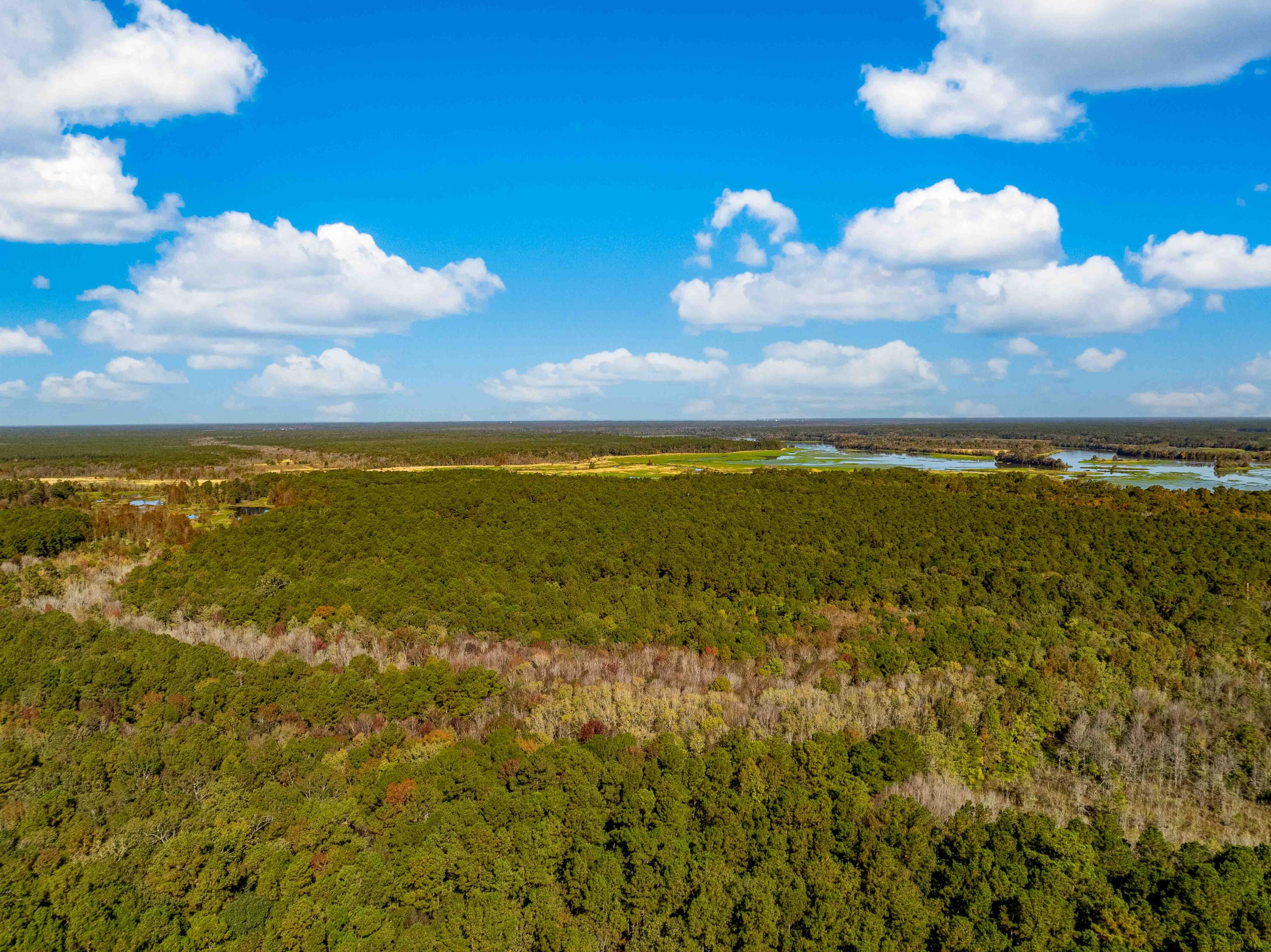 0 Point Comfort Moncks Corner Moncks Corner, SC 29461 - Photo 22 of 49 Point Comfort 2024 Drone_Low Res-23