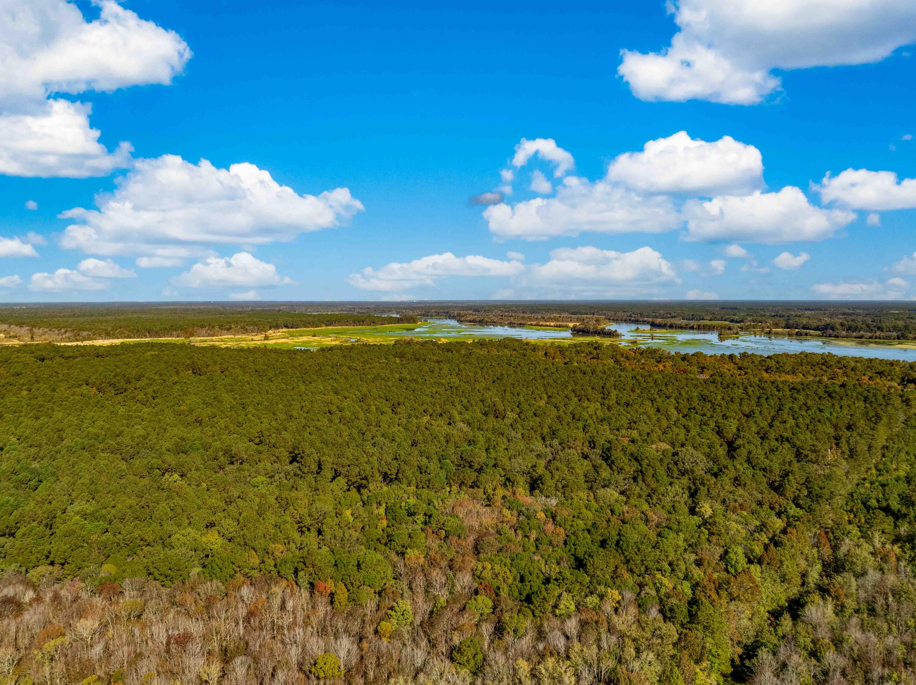 0 Point Comfort Moncks Corner Moncks Corner, SC 29461 - Photo 24 of 49 Point Comfort 2024 Drone_Low Res-24