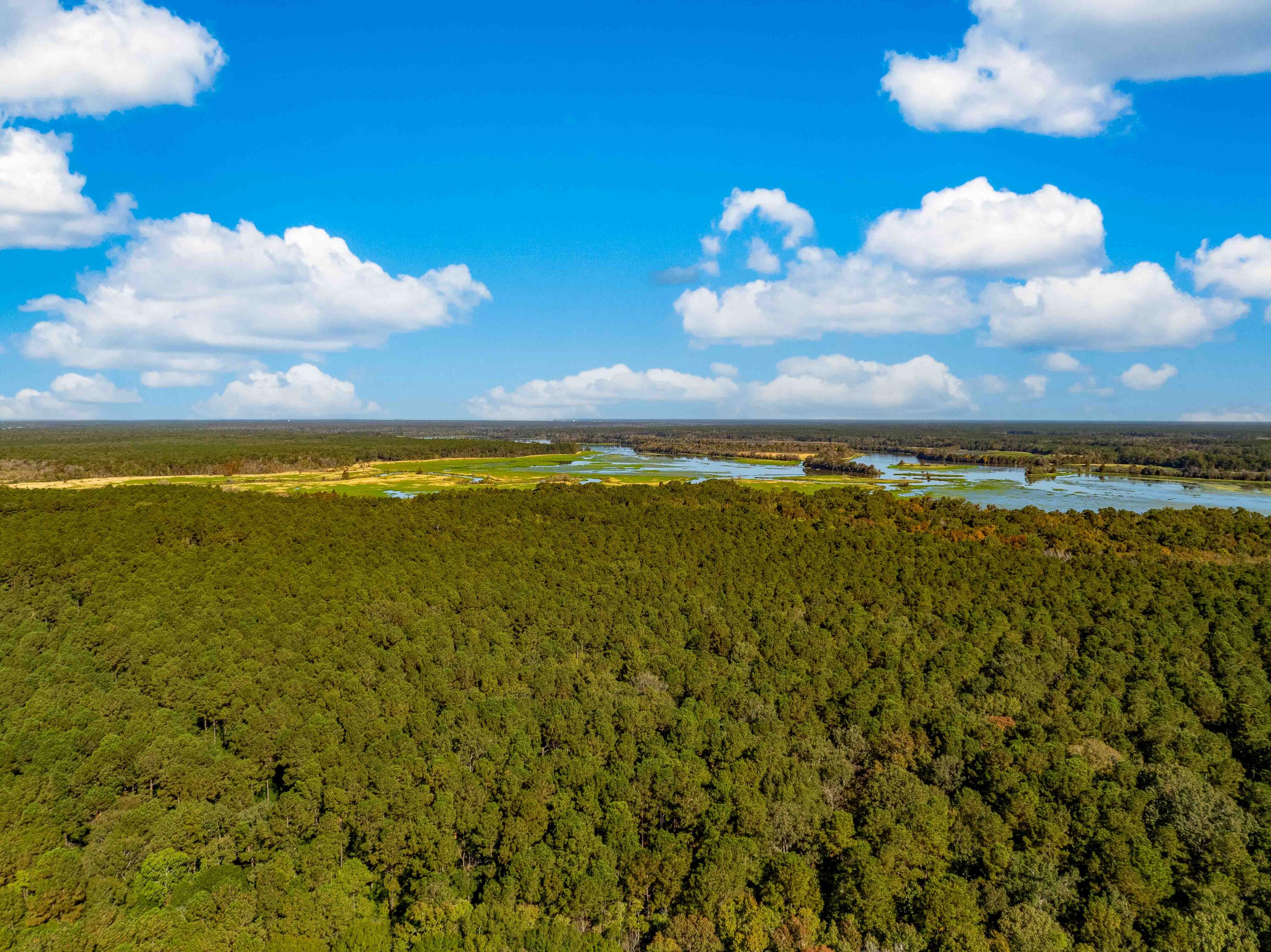 0 Point Comfort Moncks Corner Moncks Corner, SC 29461 - Photo 25 of 49 Point Comfort 2024 Drone_Low Res-25