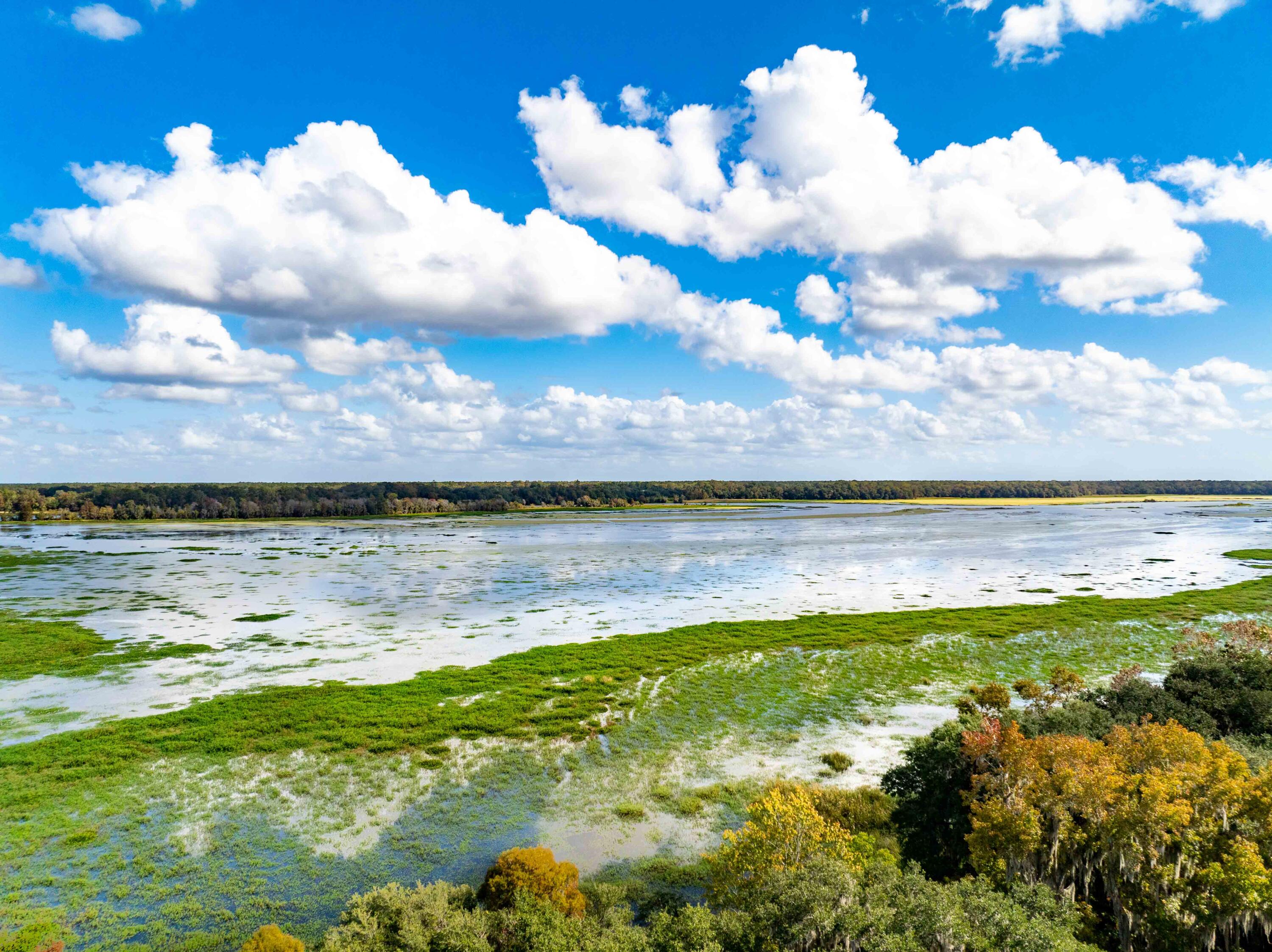 0 Point Comfort Moncks Corner Moncks Corner, SC 29461 - Photo 26 of 49 Point Comfort 2024 Drone_Low Res-26