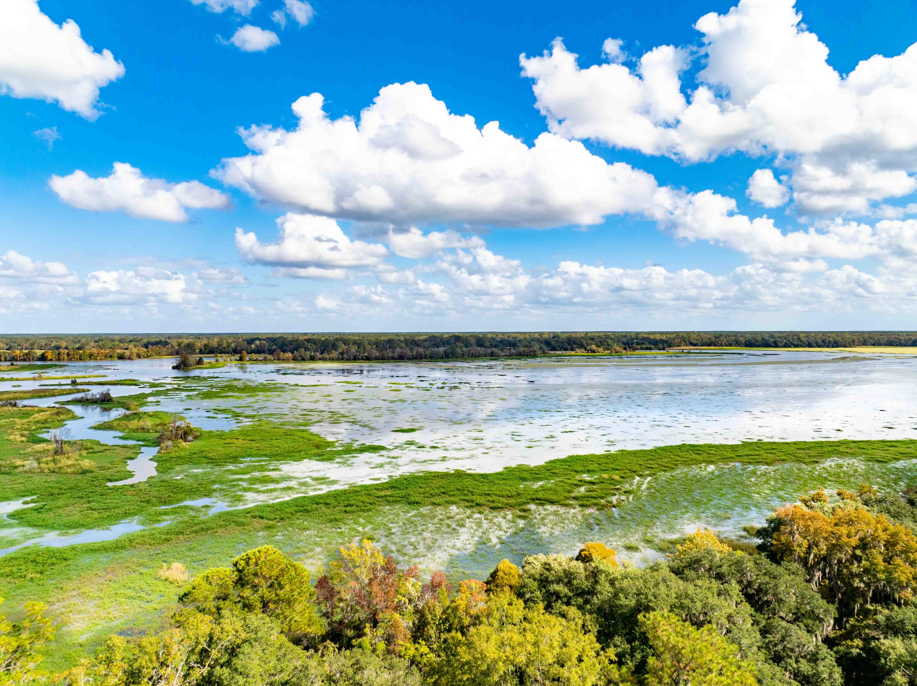 0 Point Comfort Moncks Corner Moncks Corner, SC 29461 - Photo 27 of 49 Point Comfort 2024 Drone_Low Res-27