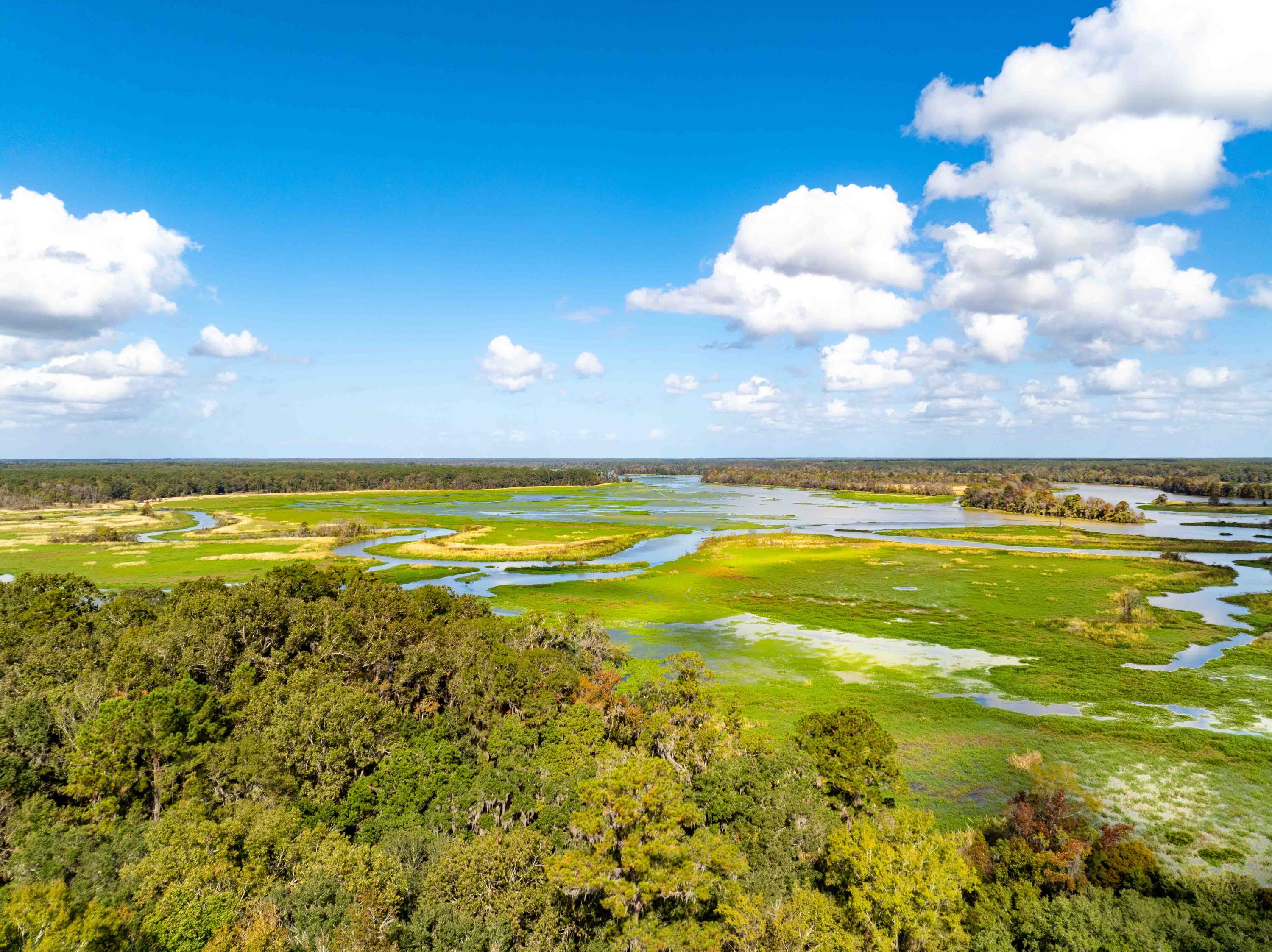 0 Point Comfort Moncks Corner Moncks Corner, SC 29461 - Photo 28 of 49 Point Comfort 2024 Drone_Low Res-28