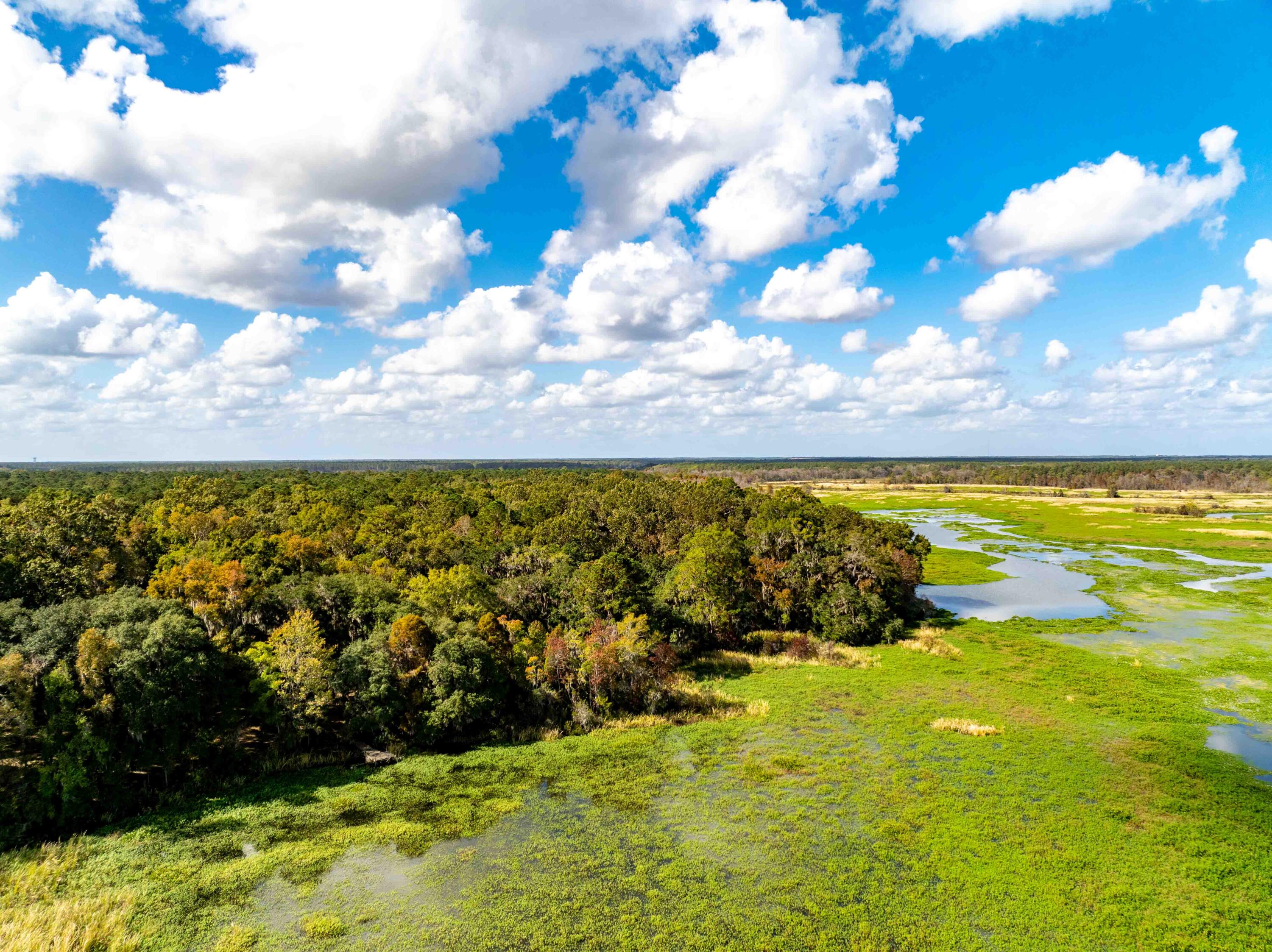 0 Point Comfort Moncks Corner Moncks Corner, SC 29461 - Photo 29 of 49 Point Comfort 2024 Drone_Low Res-29