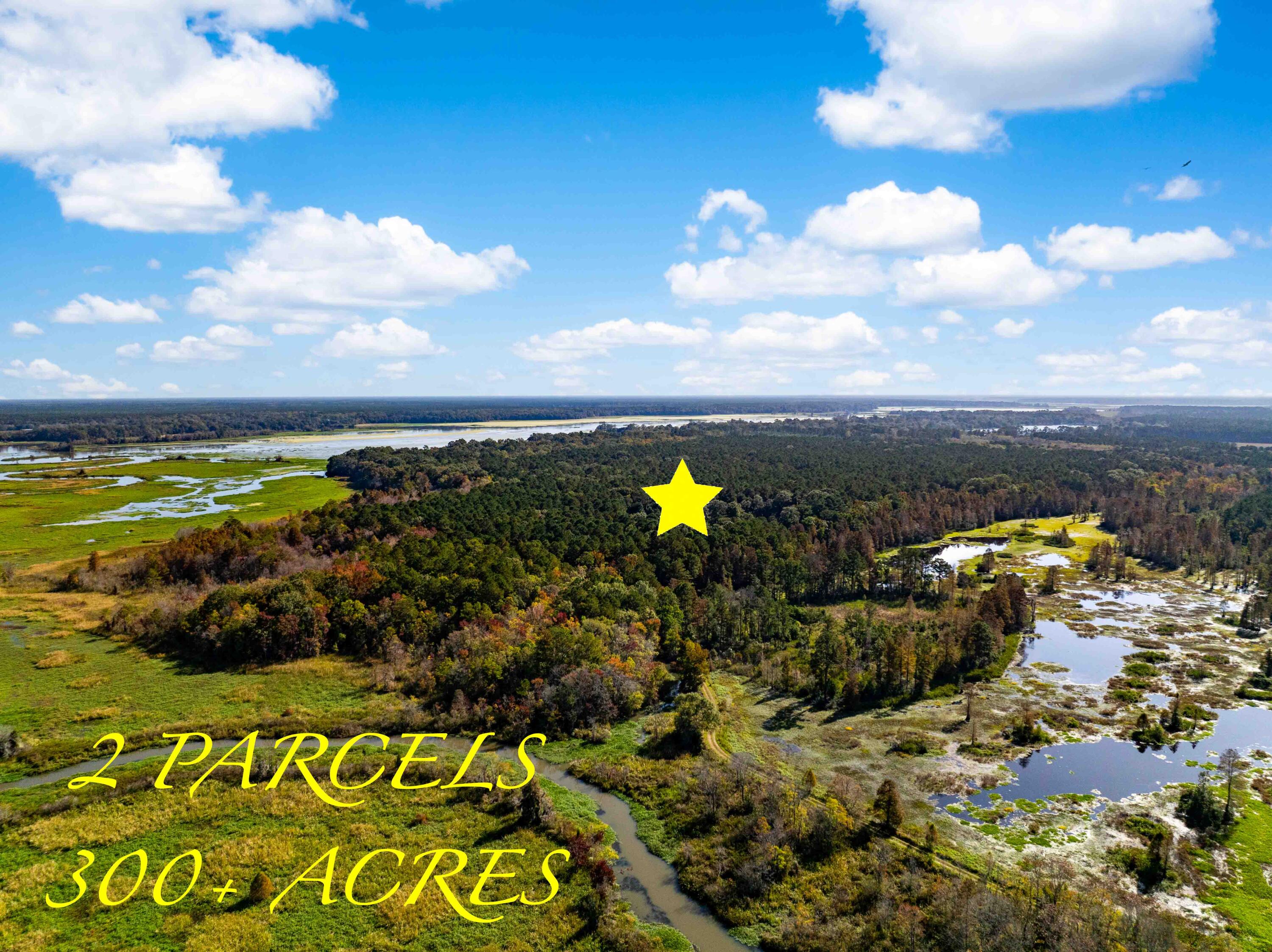 0 Point Comfort Moncks Corner Moncks Corner, SC 29461 - Photo 3 of 49 Point Comfort 2024 Drone_Low Res-13