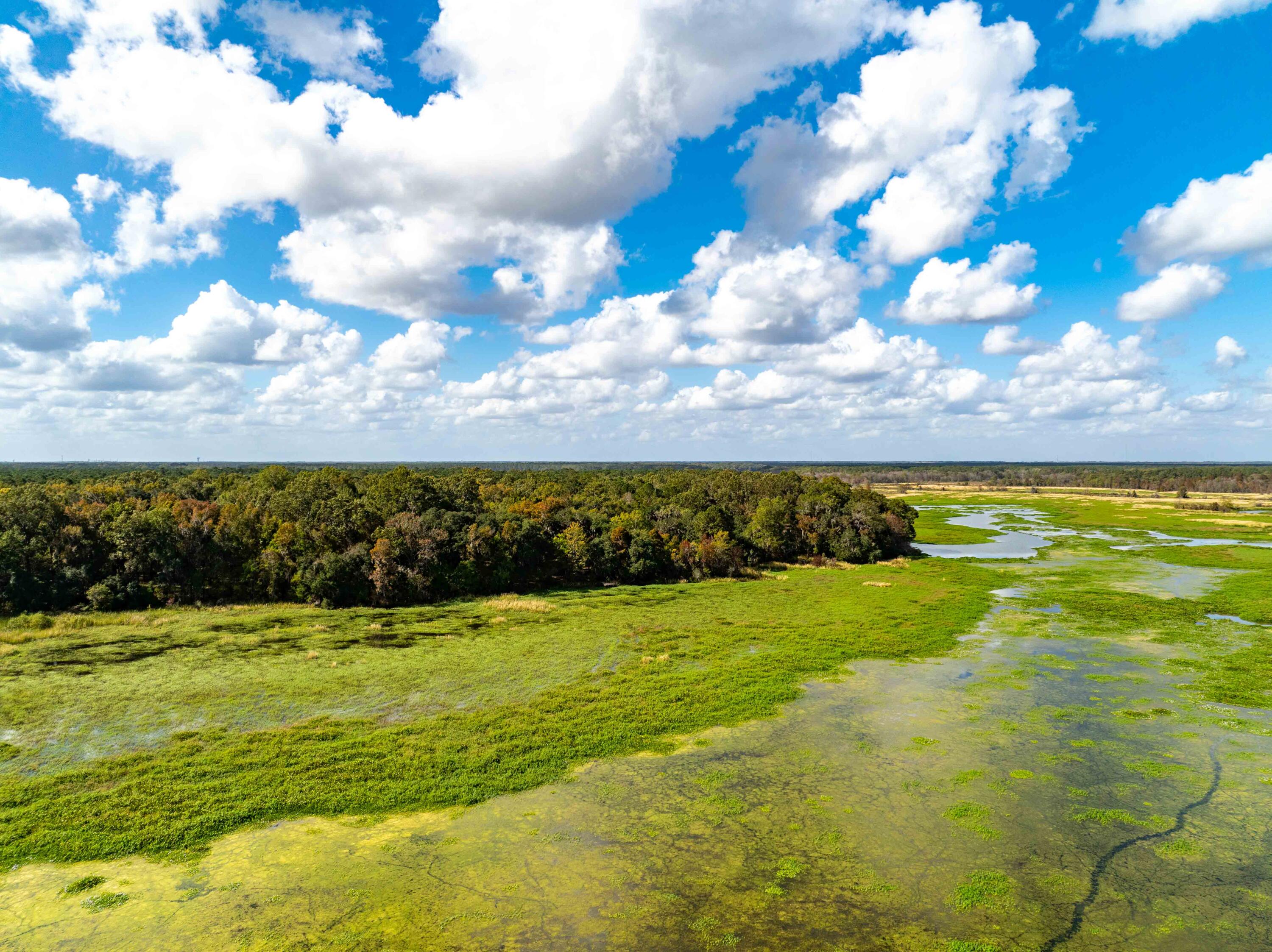 0 Point Comfort Moncks Corner Moncks Corner, SC 29461 - Photo 31 of 49 Point Comfort 2024 Drone_Low Res-30
