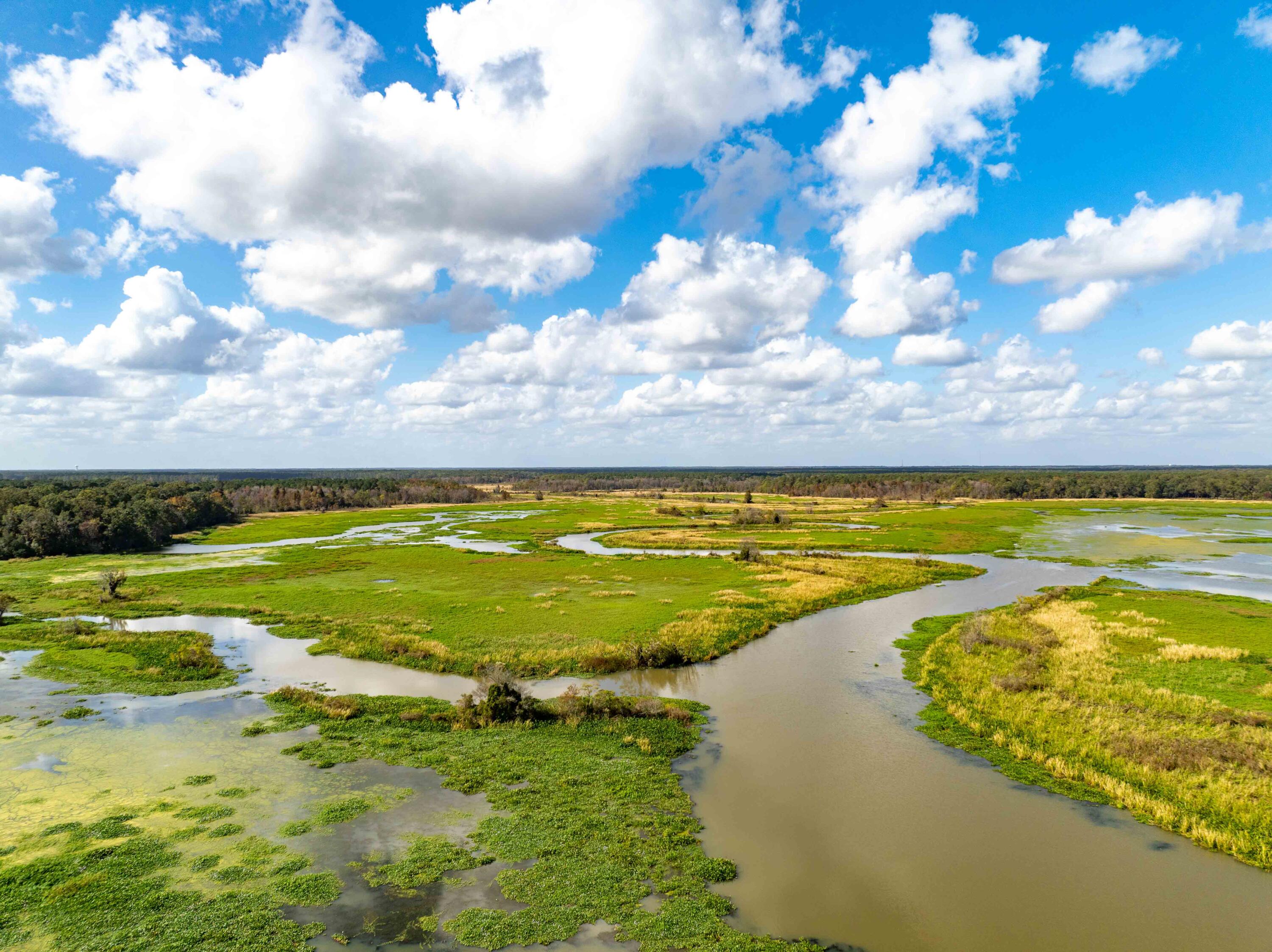 0 Point Comfort Moncks Corner Moncks Corner, SC 29461 - Photo 32 of 49 Point Comfort 2024 Drone_Low Res-32