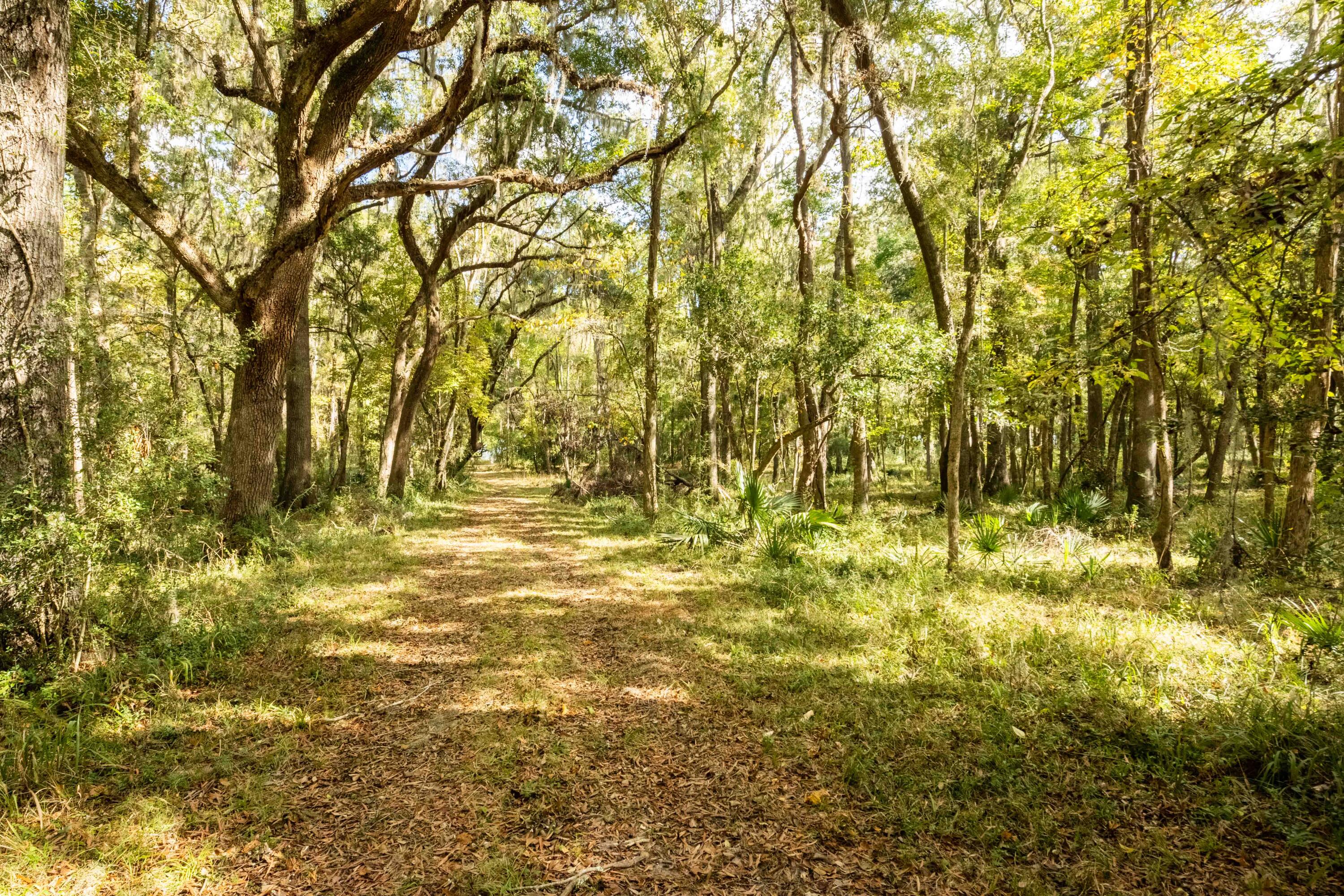 0 Point Comfort Moncks Corner Moncks Corner, SC 29461 - Photo 34 of 49 Point Comfort 2024_Low Res-27