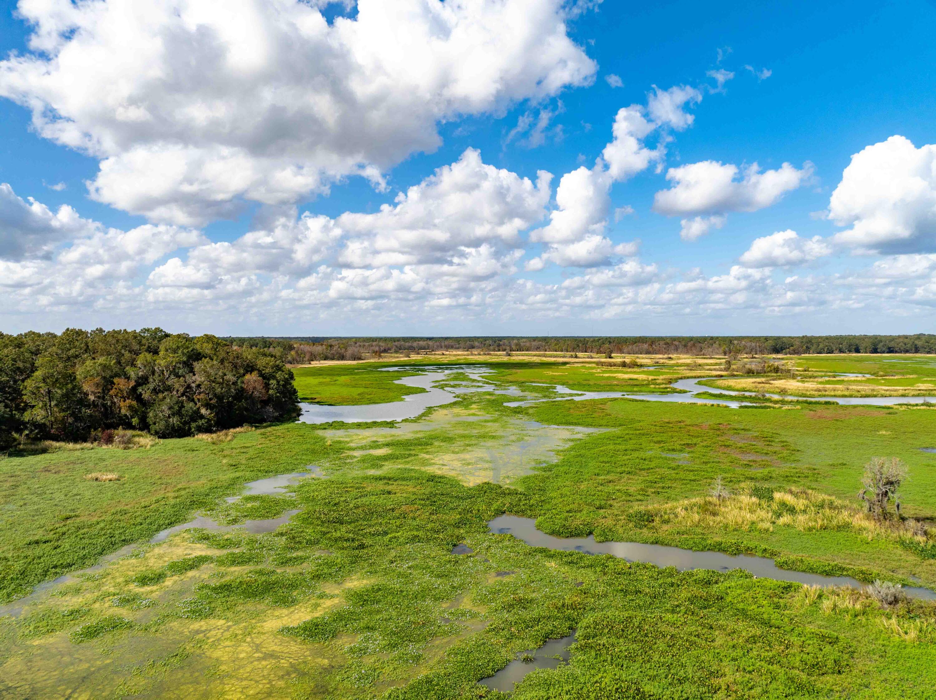 0 Point Comfort Moncks Corner Moncks Corner, SC 29461 - Photo 36 of 49 Point Comfort 2024 Drone_Low Res-37