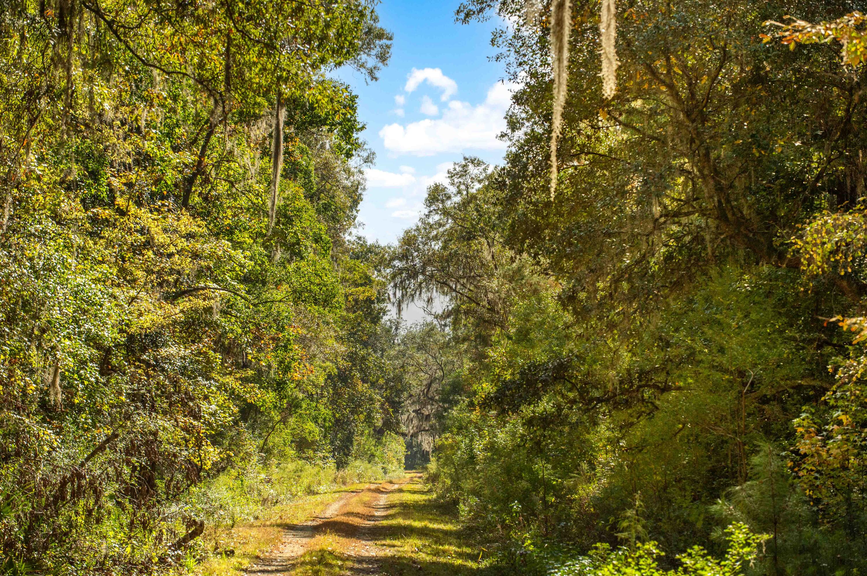 0 Point Comfort Moncks Corner Moncks Corner, SC 29461 - Photo 37 of 49 Point Comfort 2024_Low Res-1