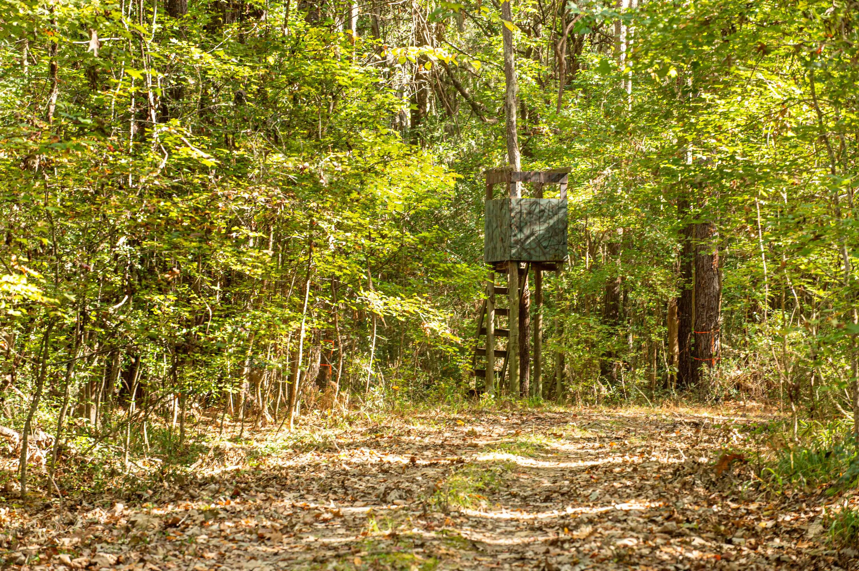0 Point Comfort Moncks Corner Moncks Corner, SC 29461 - Photo 40 of 49 Point Comfort 2024_Low Res-3