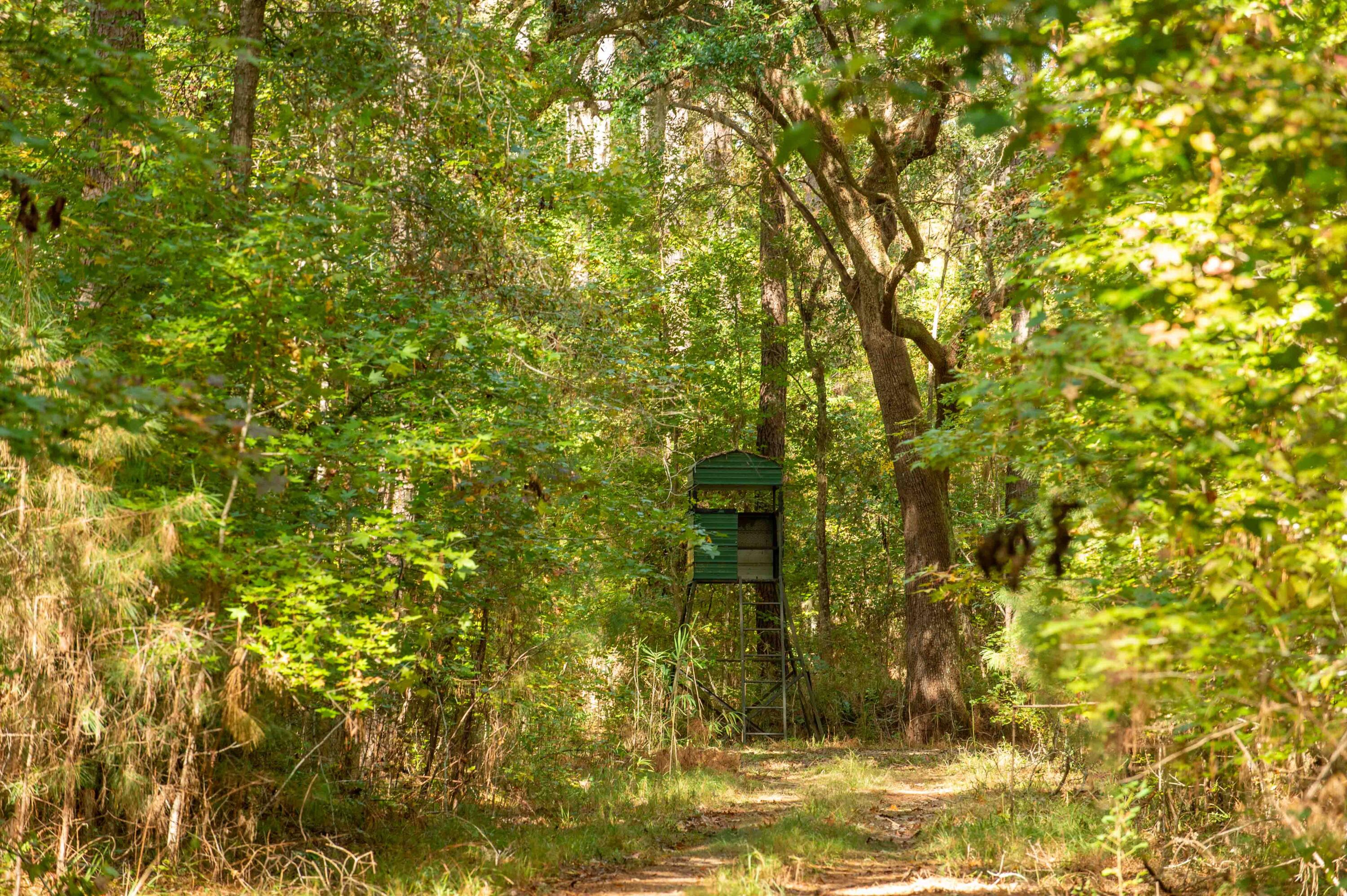 0 Point Comfort Moncks Corner Moncks Corner, SC 29461 - Photo 41 of 49 Point Comfort 2024_Low Res-5