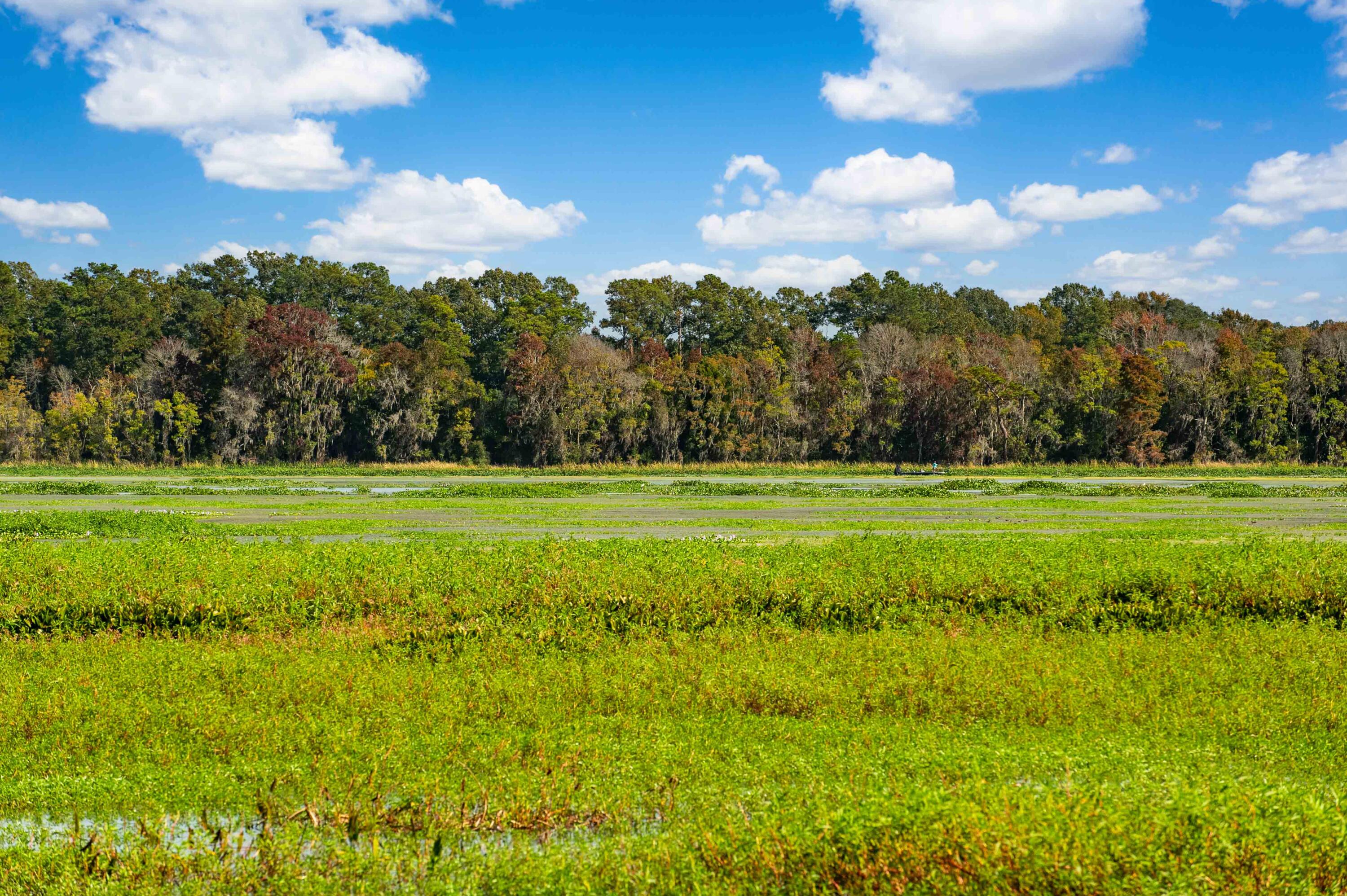 0 Point Comfort Moncks Corner Moncks Corner, SC 29461 - Photo 48 of 49 Point Comfort 2024_Low Res-14