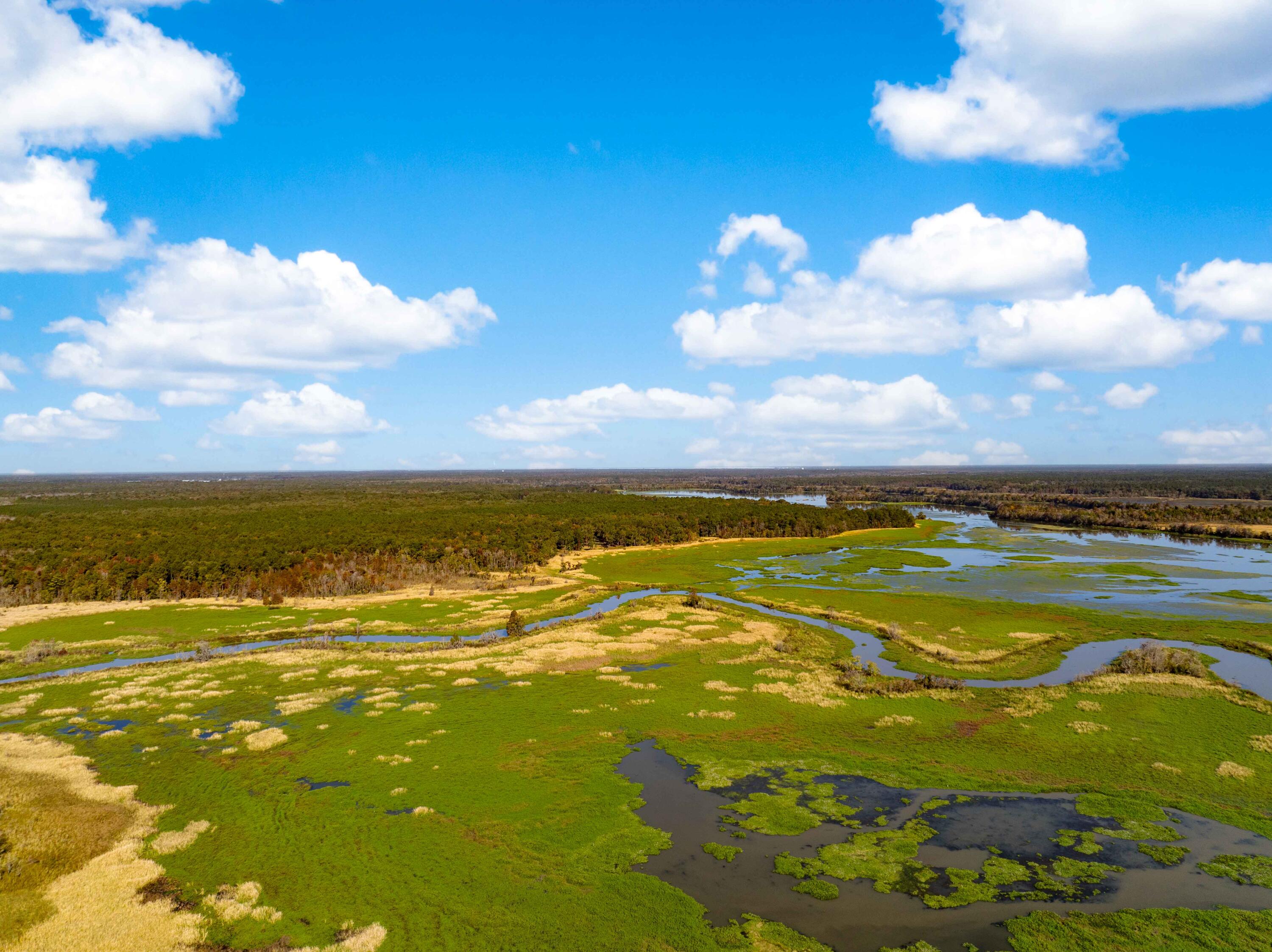 0 Point Comfort Moncks Corner Moncks Corner, SC 29461 - Photo 6 of 49 Point Comfort 2024 Drone_Low Res-2