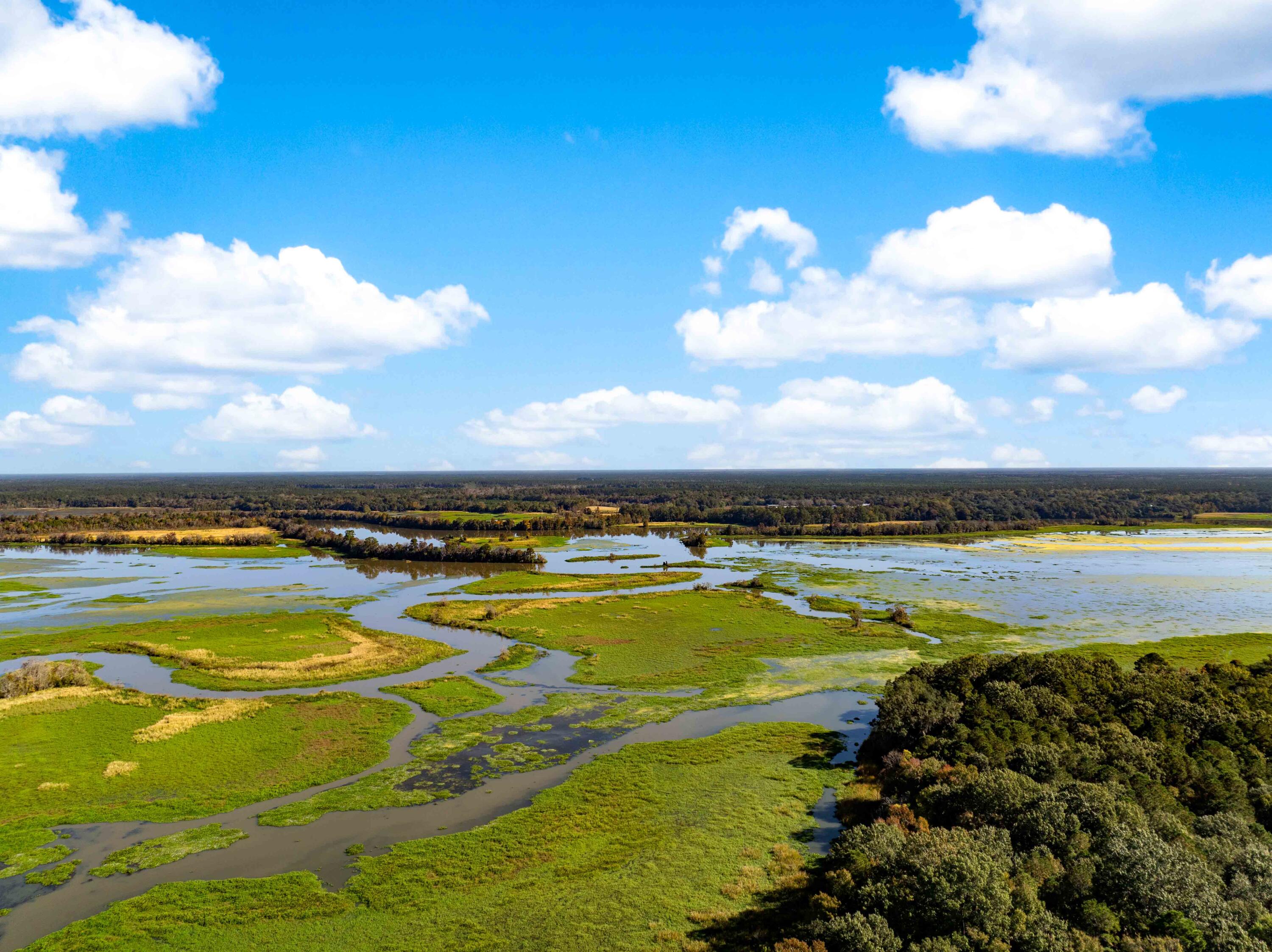 0 Point Comfort Moncks Corner Moncks Corner, SC 29461 - Photo 7 of 49 Point Comfort 2024 Drone_Low Res-3